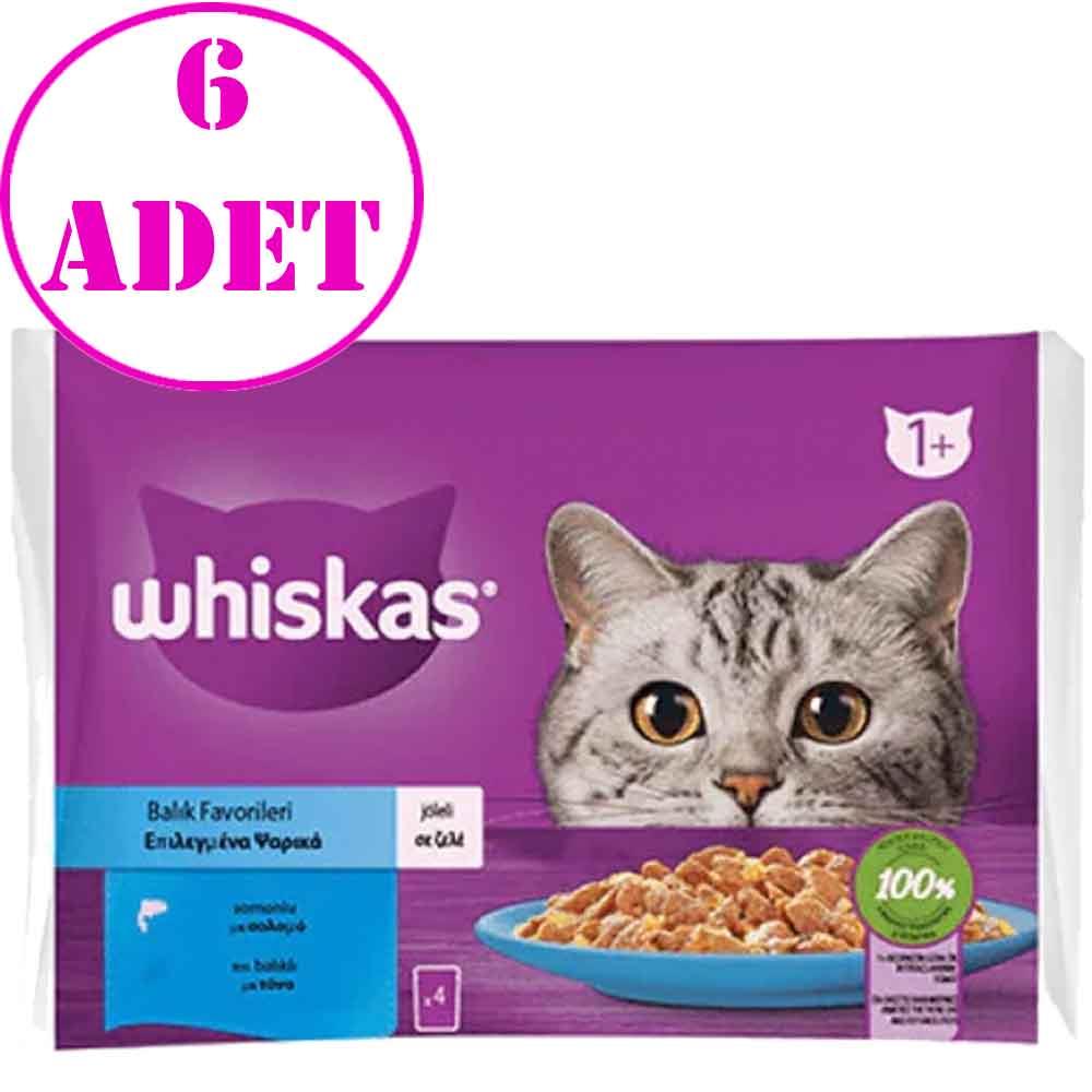 Whiskas Pouch Jöle İçinde Somonlu ve Ton Balıklı Yetişkin Kedi Konservesi 85gr (4'lü)6 AD 19534008 Amazon Pet Center