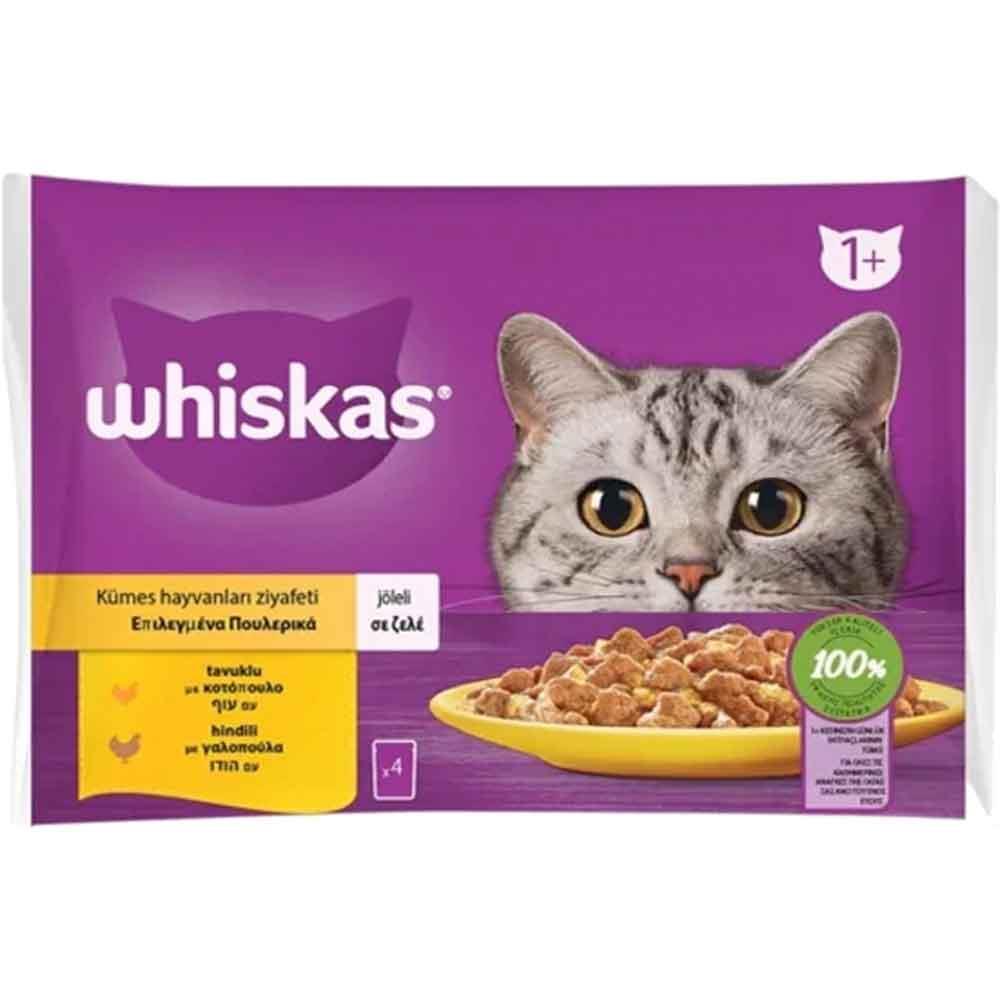 Whiskas Pouch Jöle İçinde Tavuklu ve Hindili Kedi Konservesi 85gr 4Lü PAKET 5900951301766 Amazon Pet Center