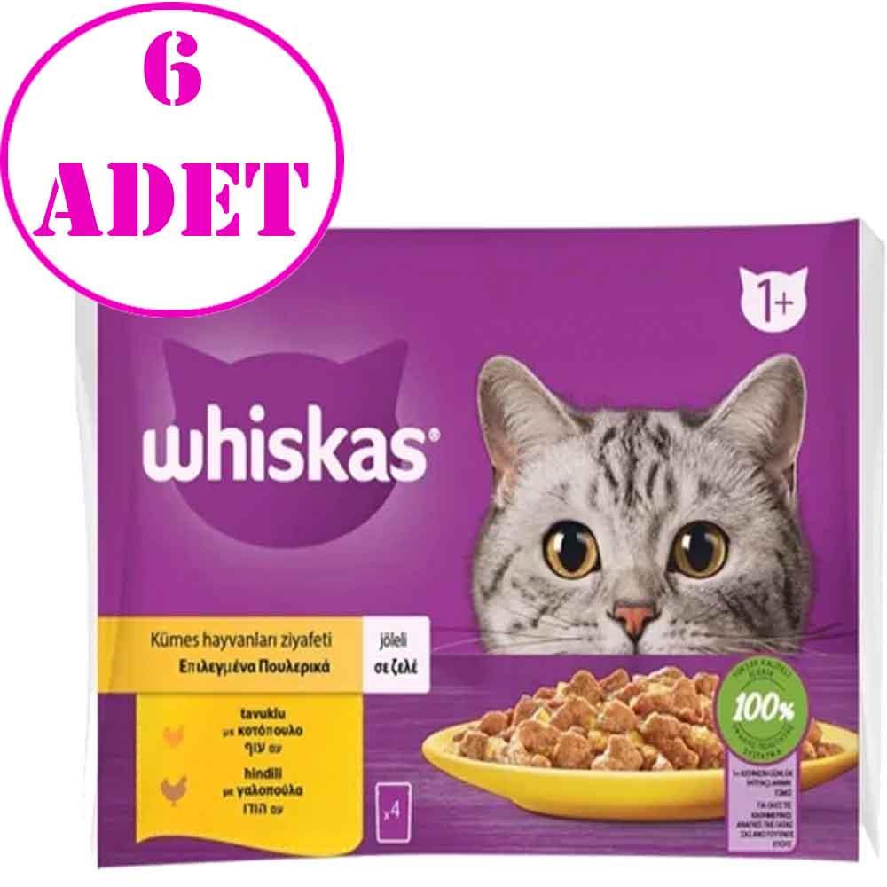 Whiskas Pouch Jöle İçinde Tavuklu ve Hindili Kedi Konservesi 85gr 4Lü PK 6 AD 19510002 Amazon Pet Center