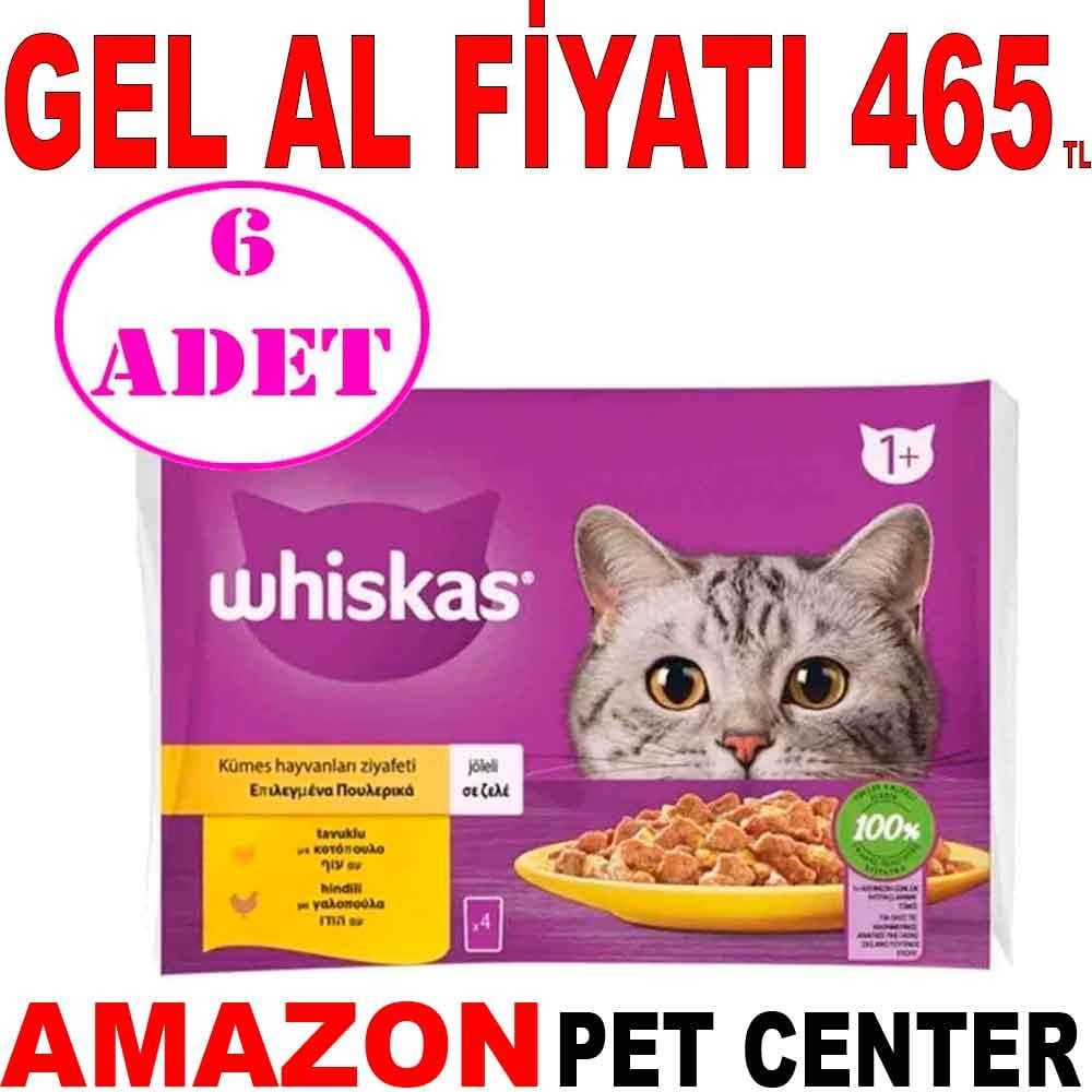 Whiskas Pouch Kedi Konservesi Jöle İçinde Tavuklu ve Hindili 85gr 4Lü PK 6 AD 19511009 Amazon Pet Center
