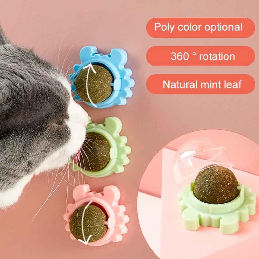 Yengeç Catnip Kedi Nanesi Topu 6980715010157 Amazon Pet Center