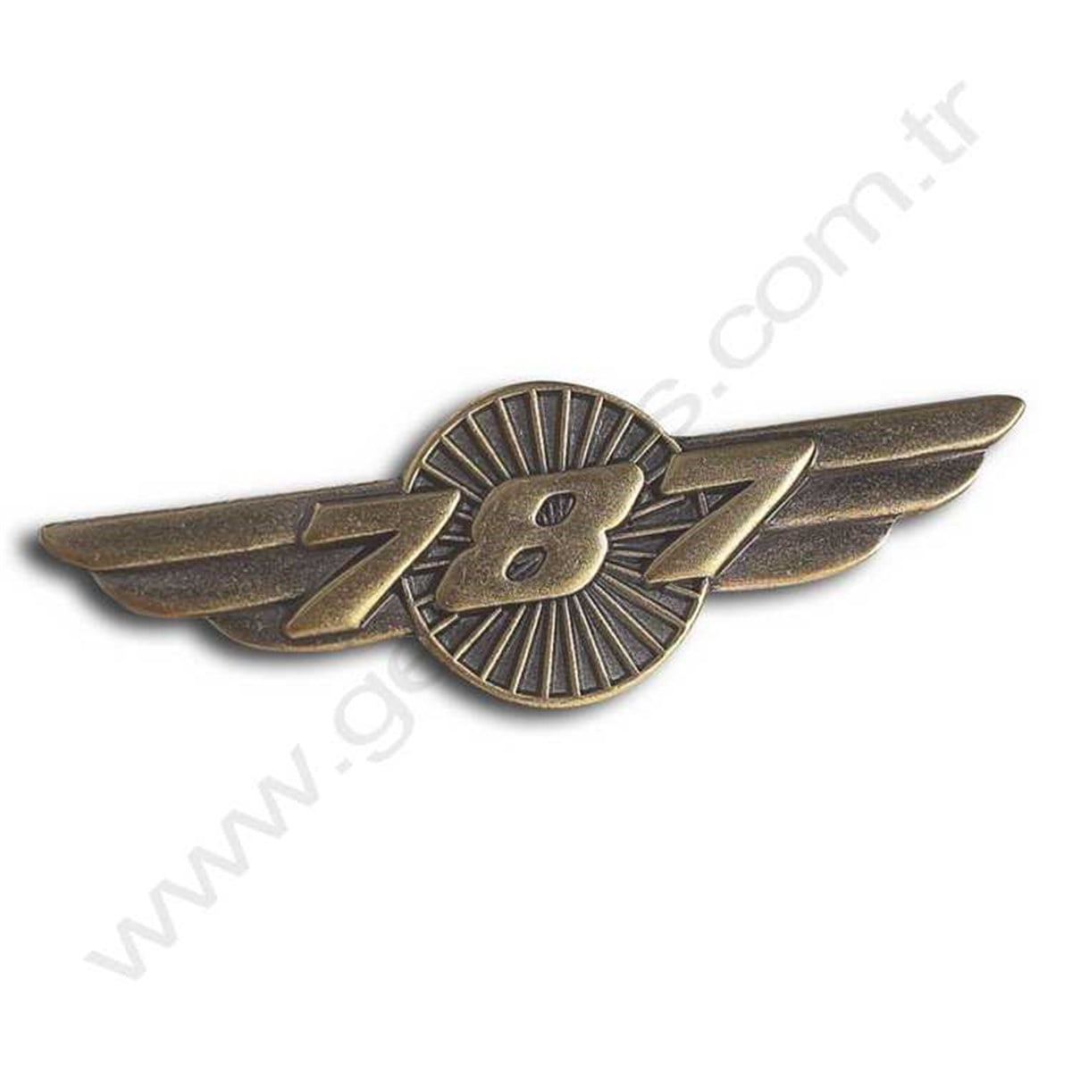 787 Wings