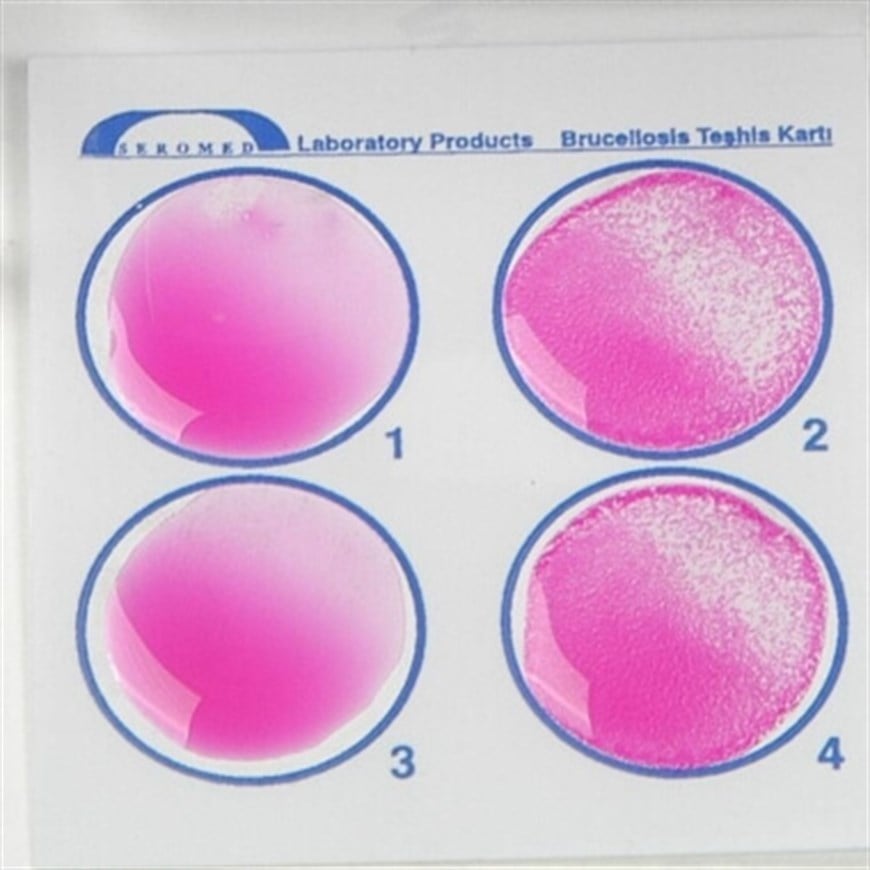 Brucella Rose Bengal 10ml (Yavru Atma Sebebi) 330lu Paket