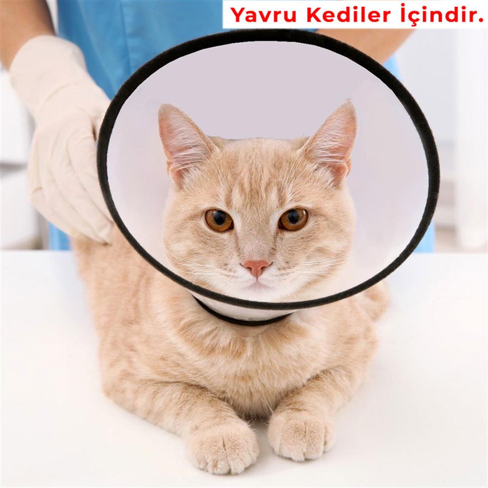 Tales Comfy Collar Yakalık Dikişli 50 MM