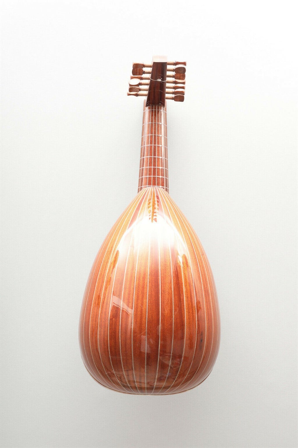 7 Course Renaissance Lute
