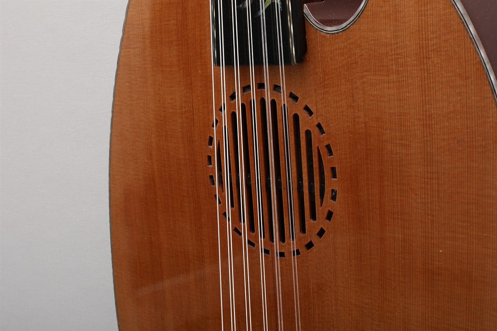 Elektro Akustik Ud