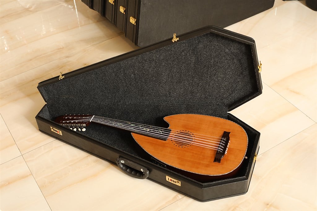 Elektro Akustik Ud