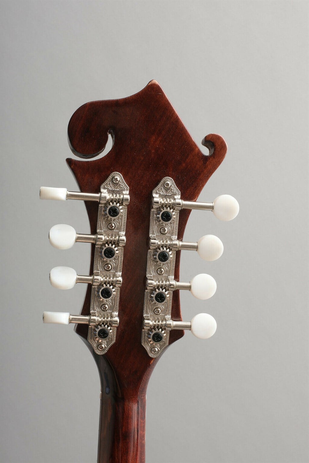 F5 Mandolin