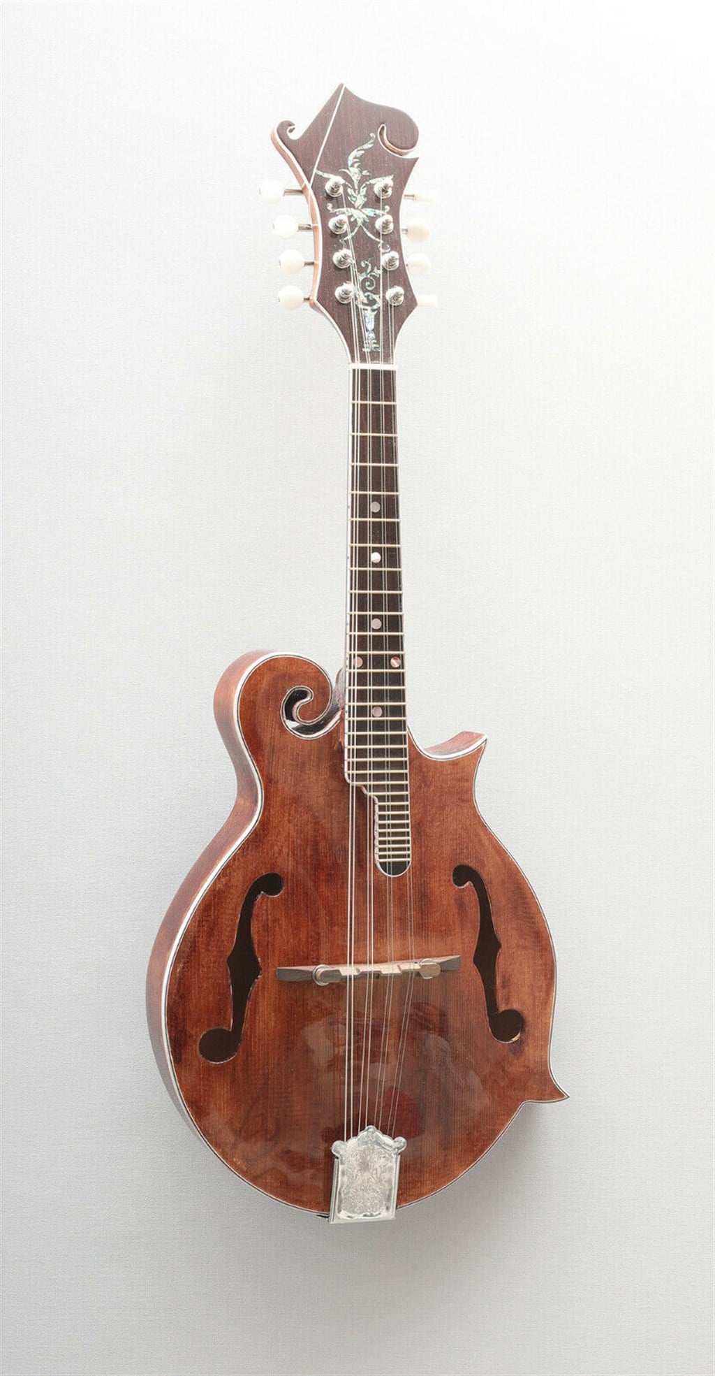F5 Mandolin