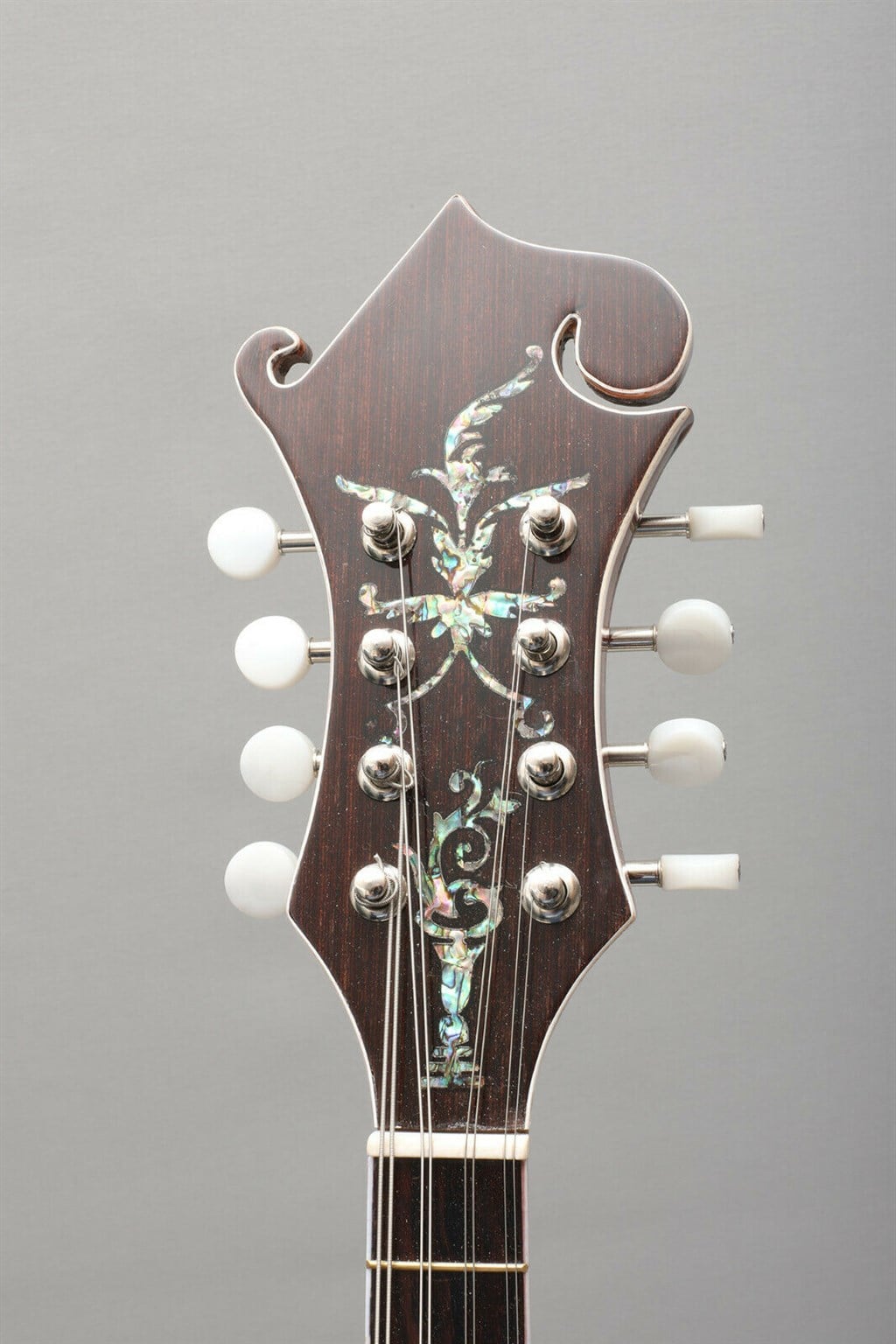 F5 Mandolin
