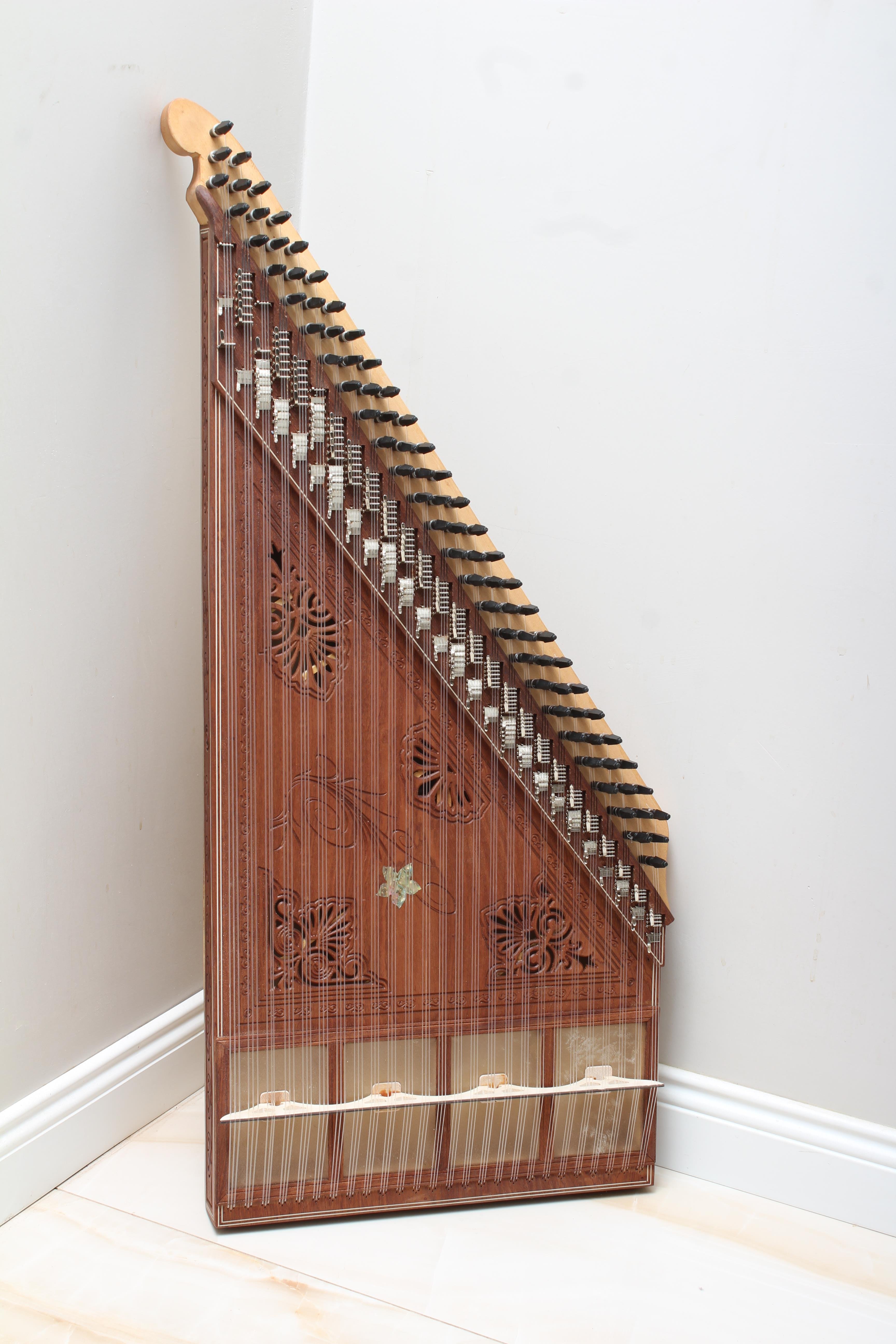 Professional Kanun