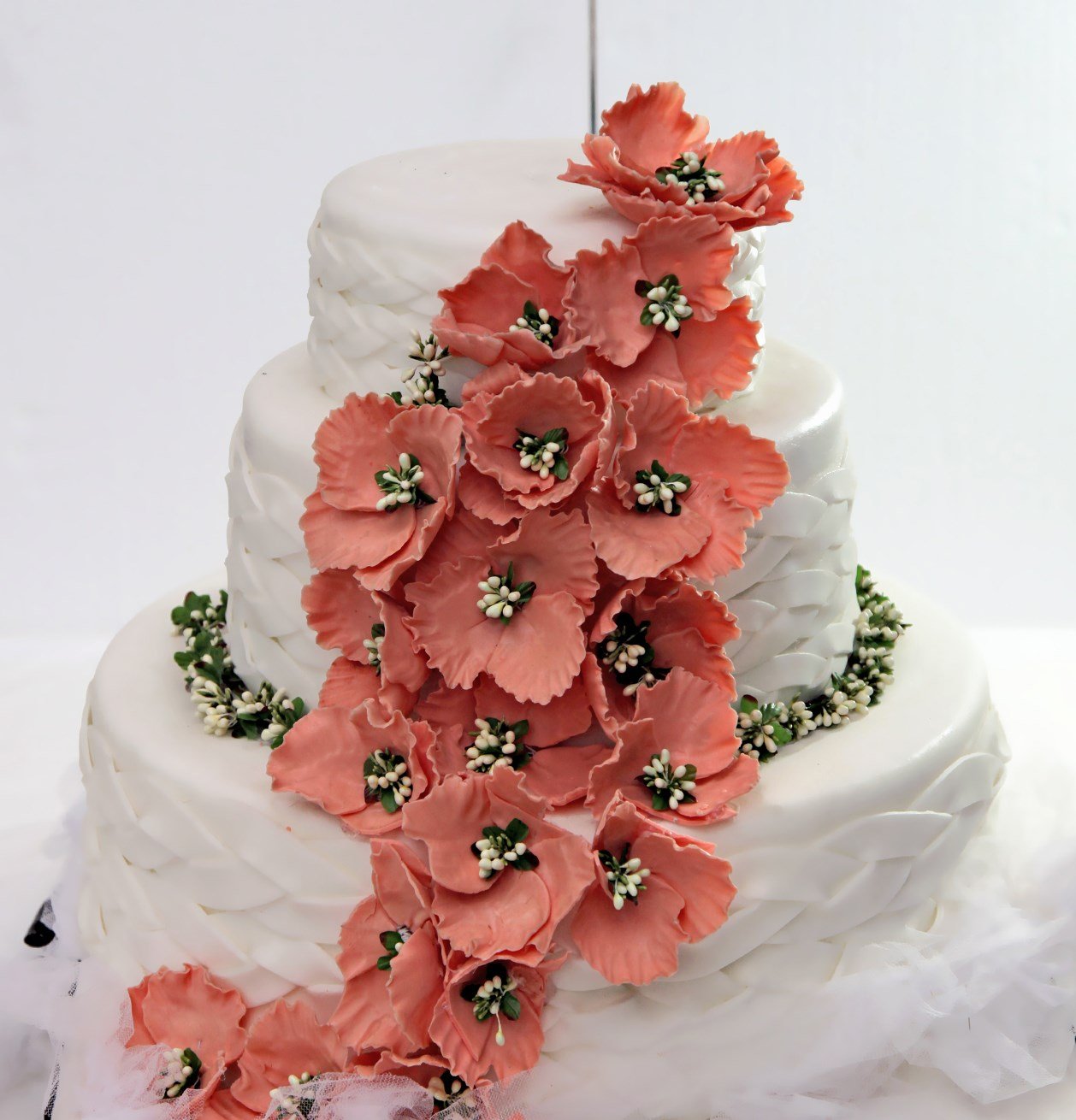 Begonyalar Açarken Pasta