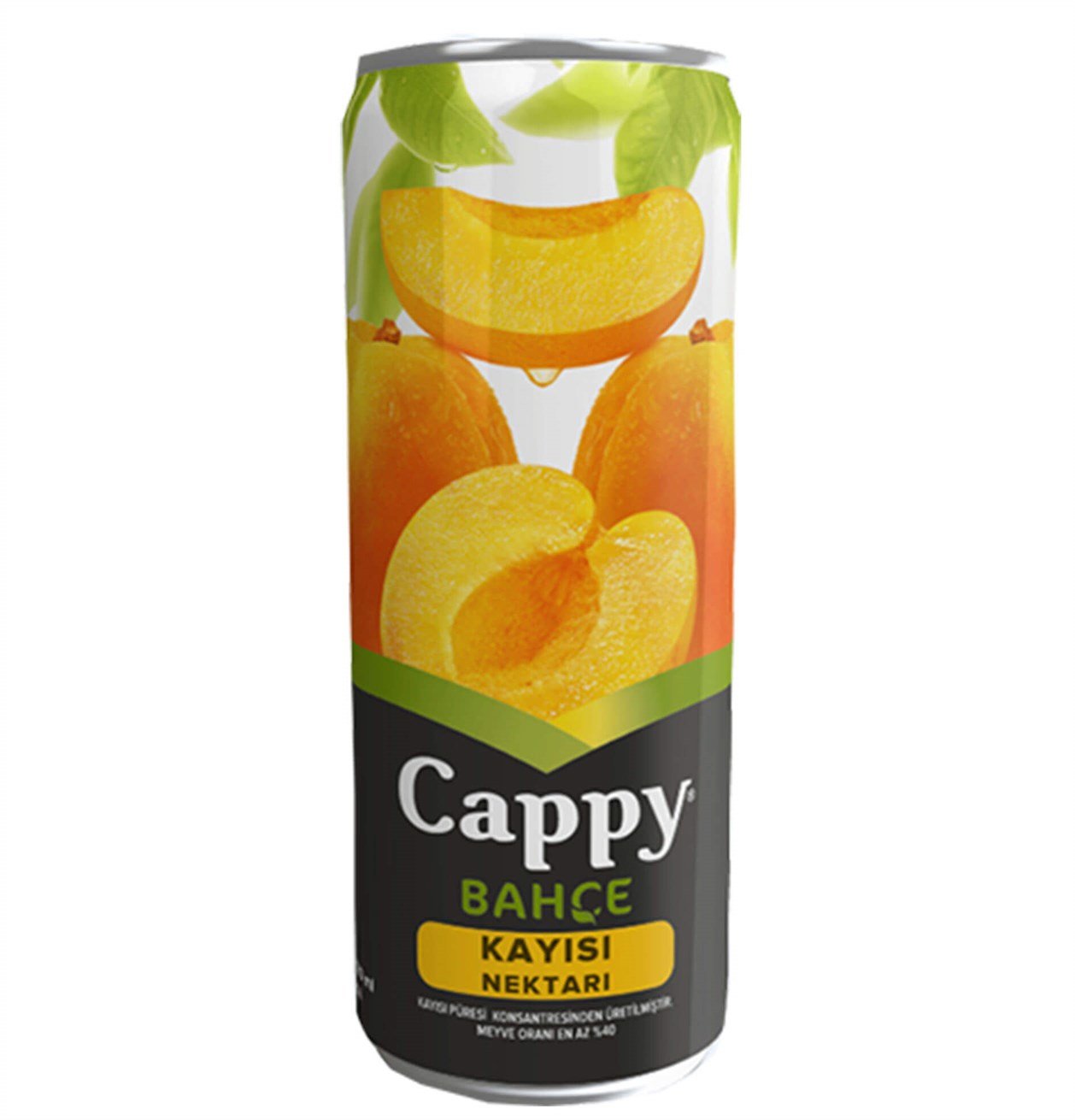 Cappy Kayısı