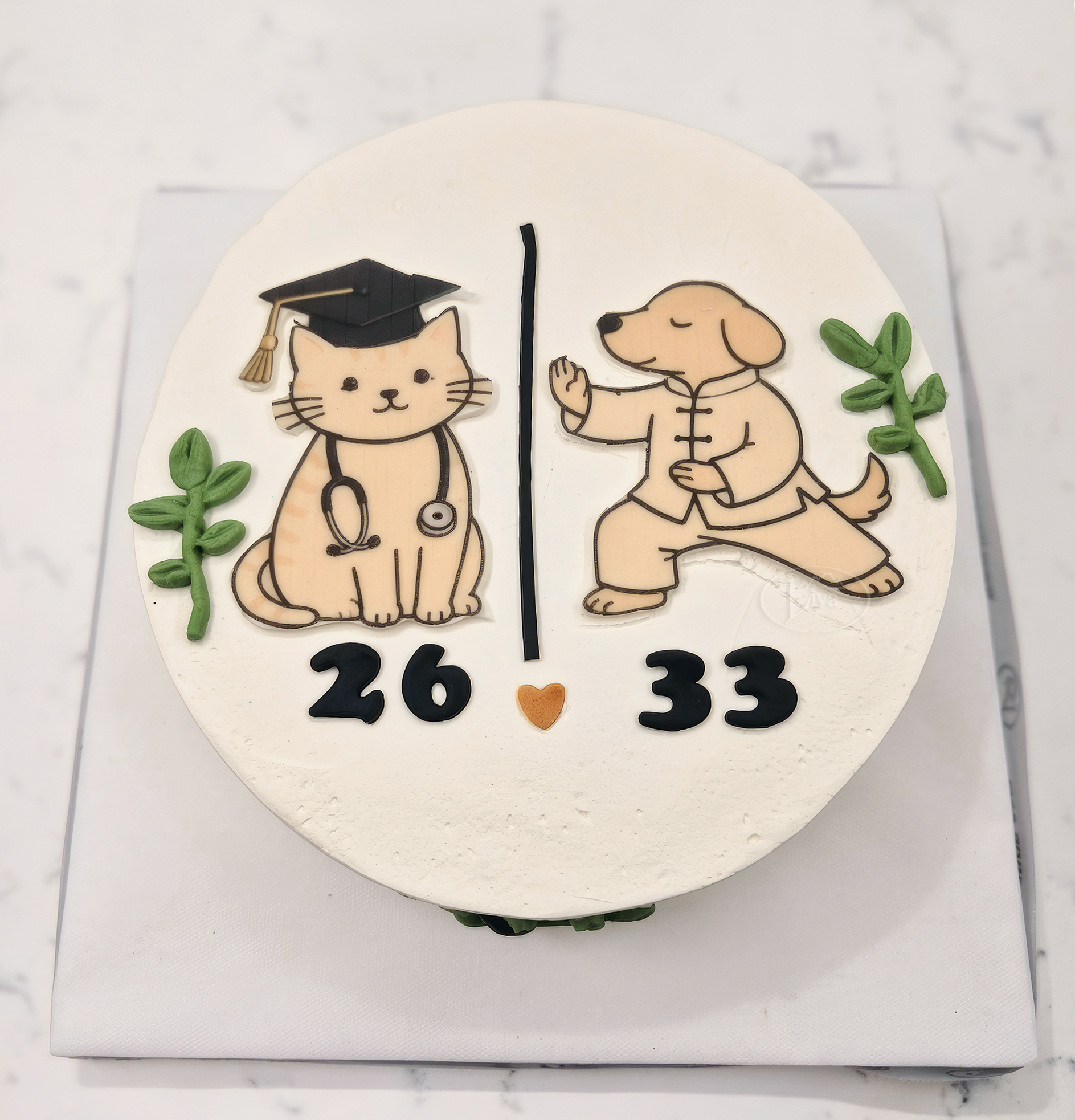 Doktor Kedi Karate Köpek Özel Pasta