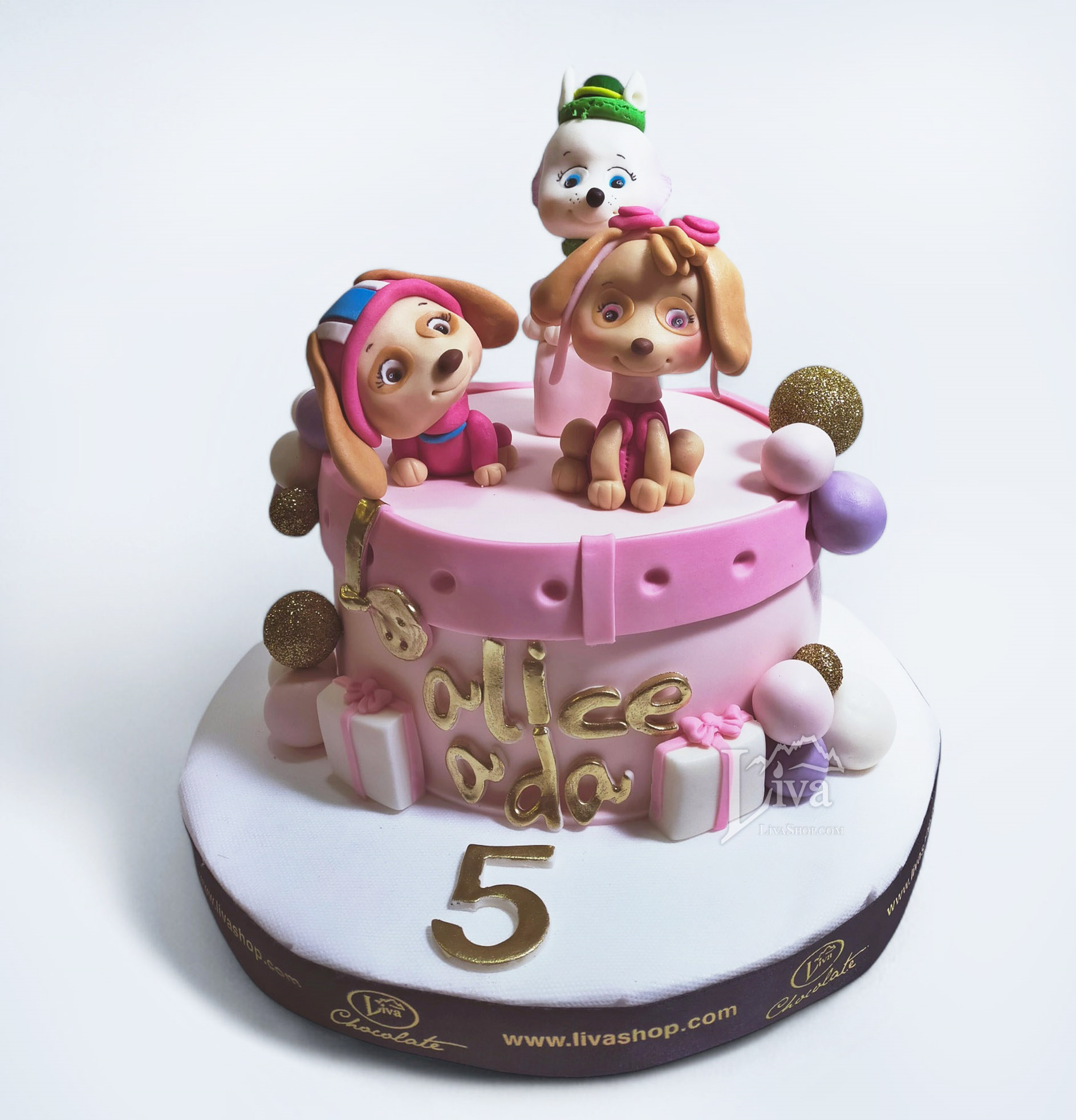 Liva Arkadaş Köpekler Özel Pasta