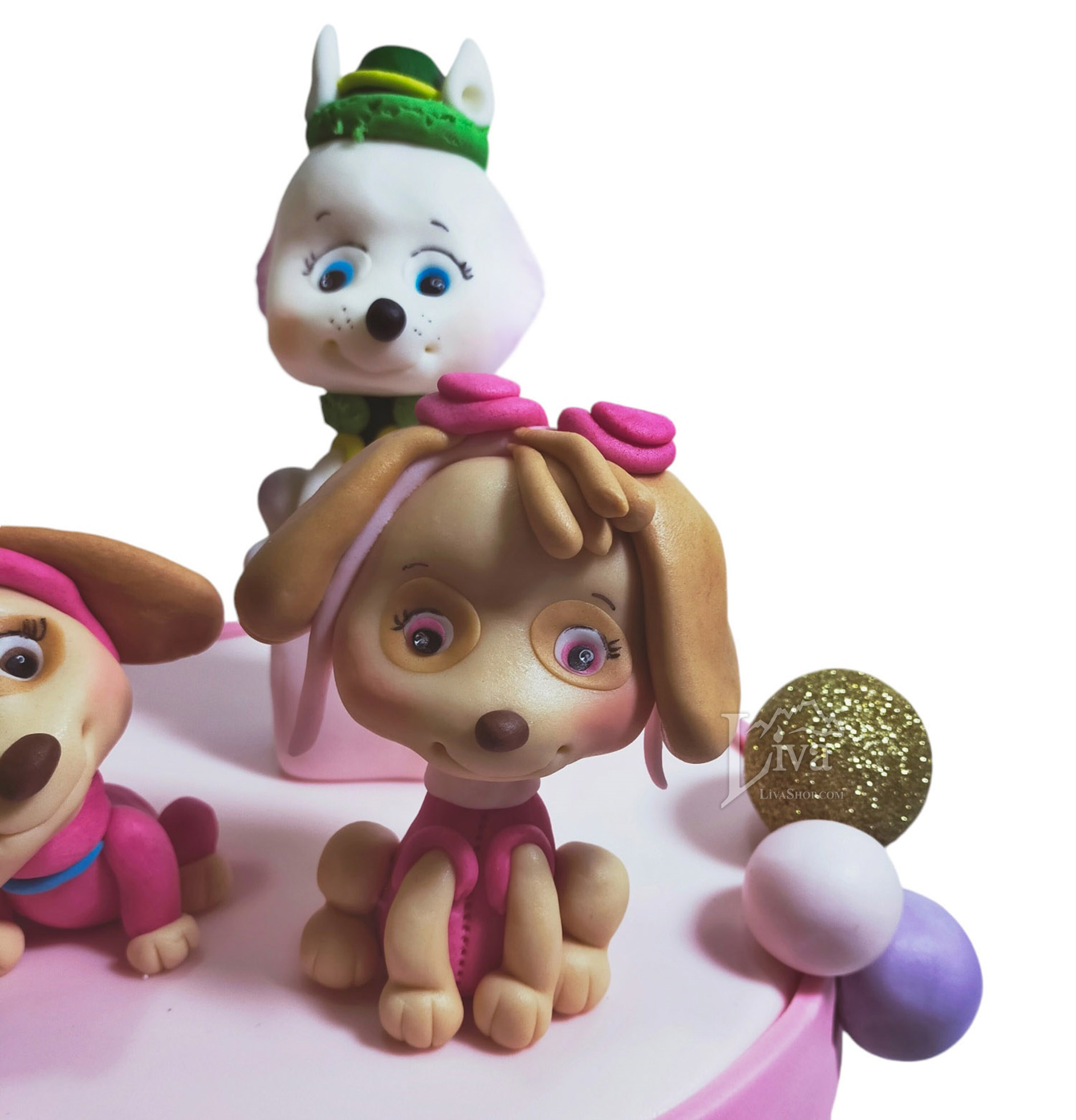 Liva Arkadaş Köpekler Özel Pasta