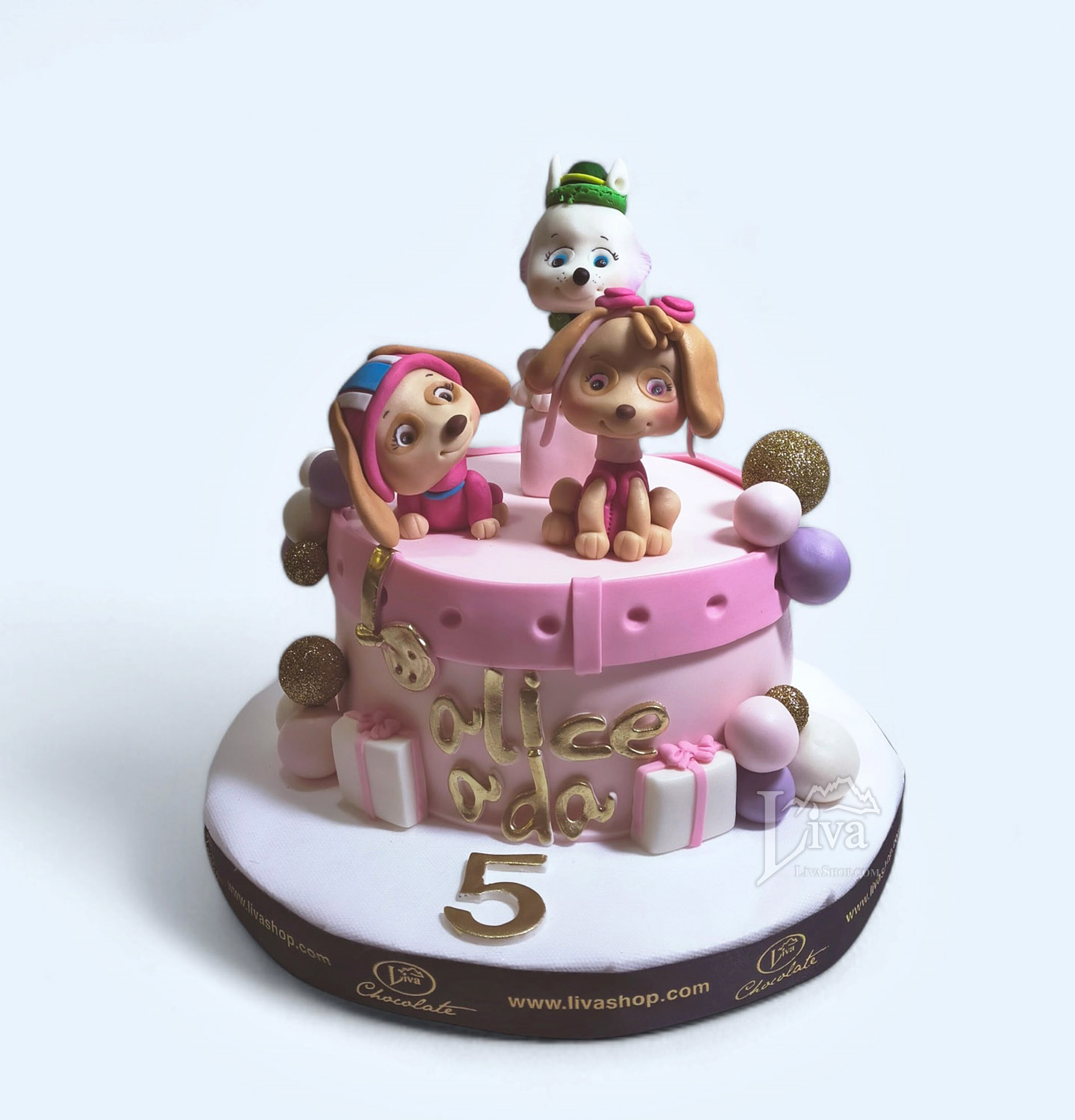 Liva Arkadaş Köpekler Özel Pasta