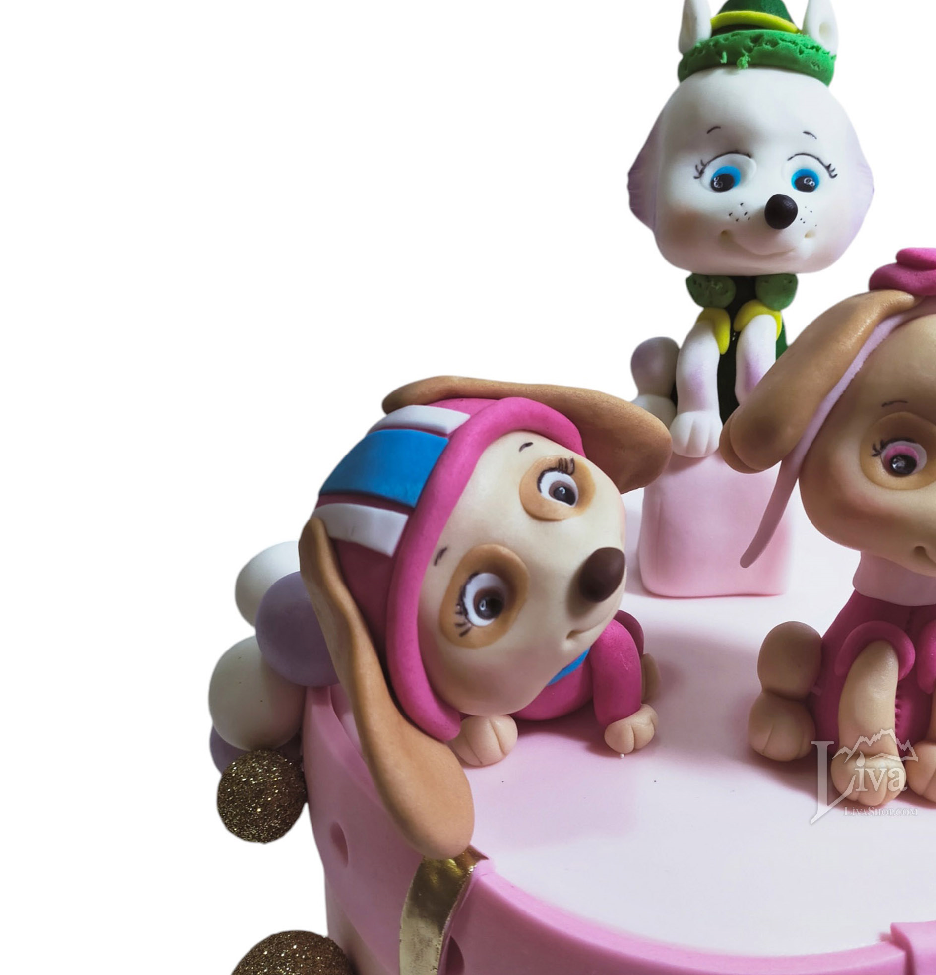 Liva Arkadaş Köpekler Özel Pasta