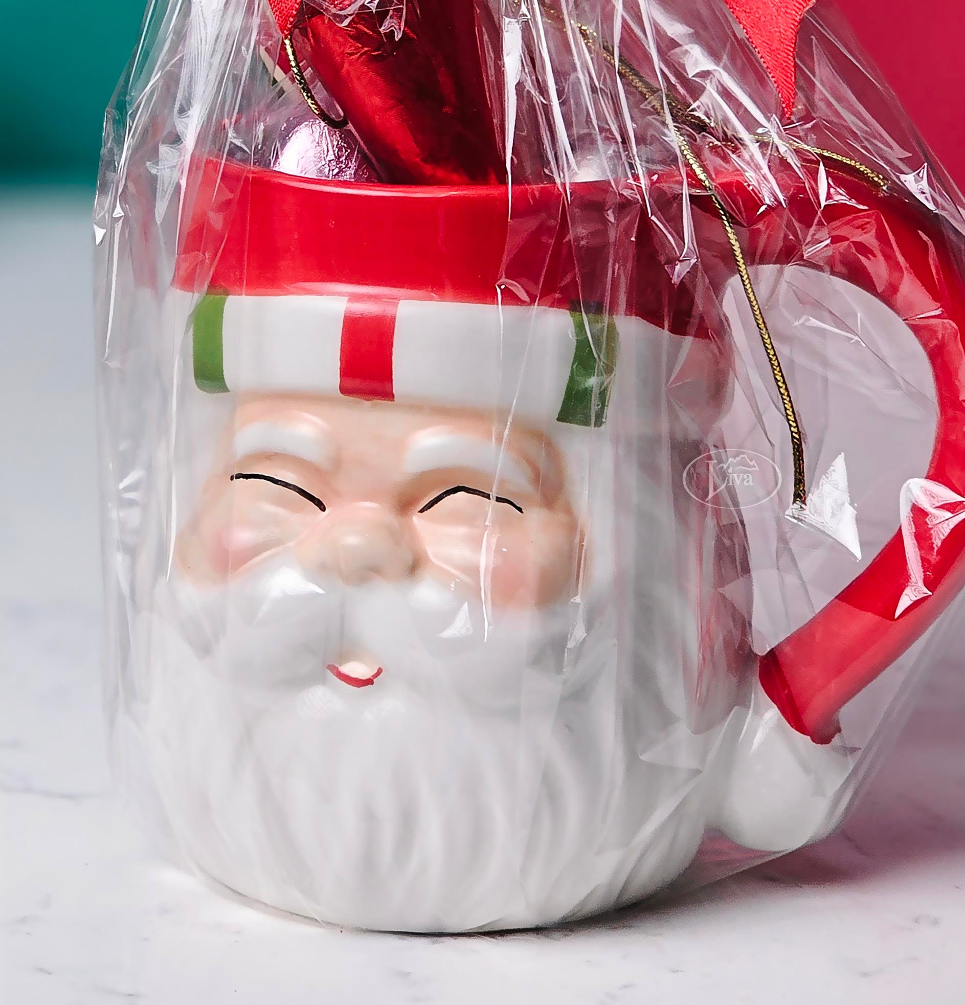 Liva Noel Baba Sürpriz Kupası