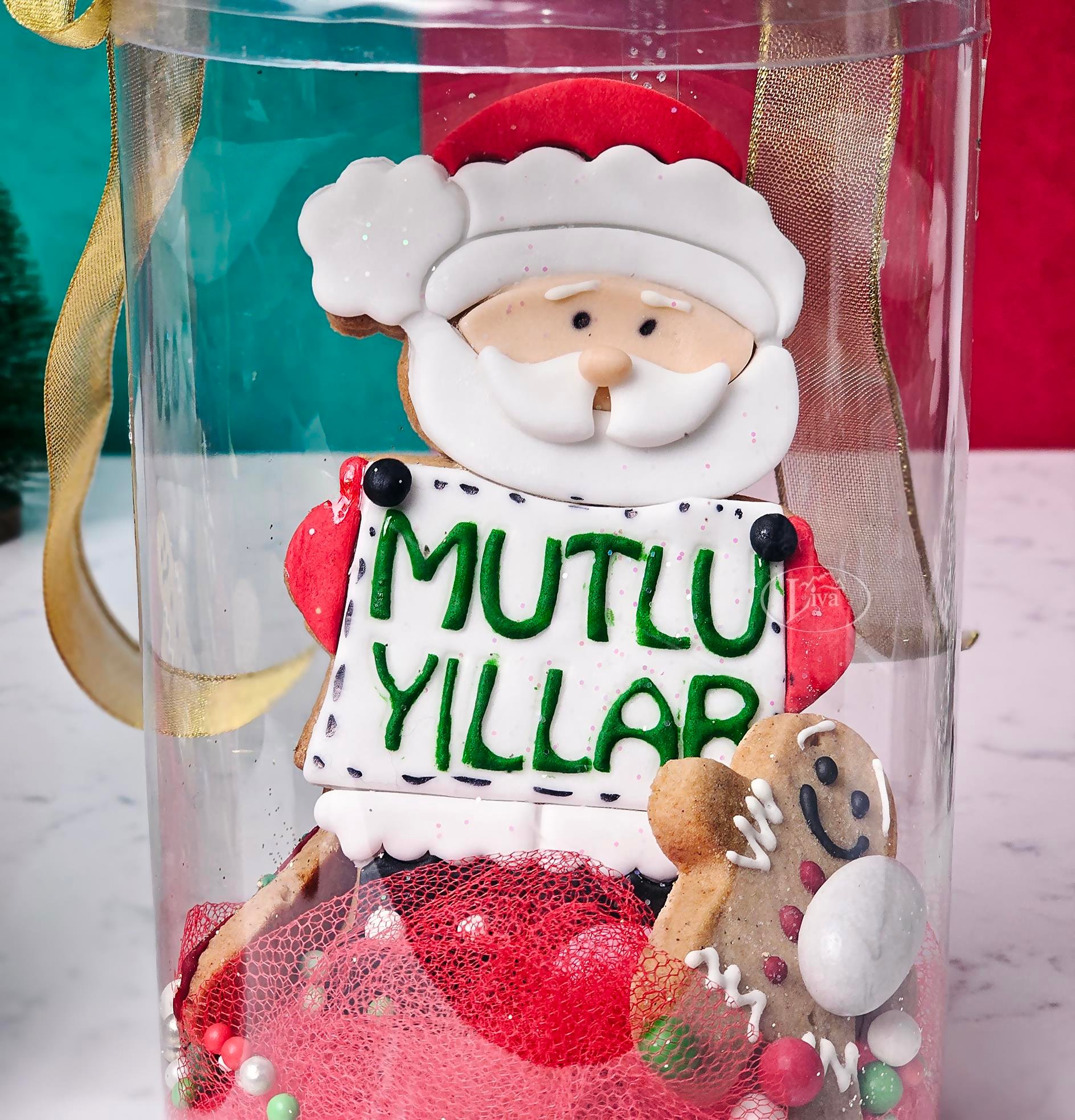 Liva Yılbaşı Mutlu Yıllar Kurabiye Paket