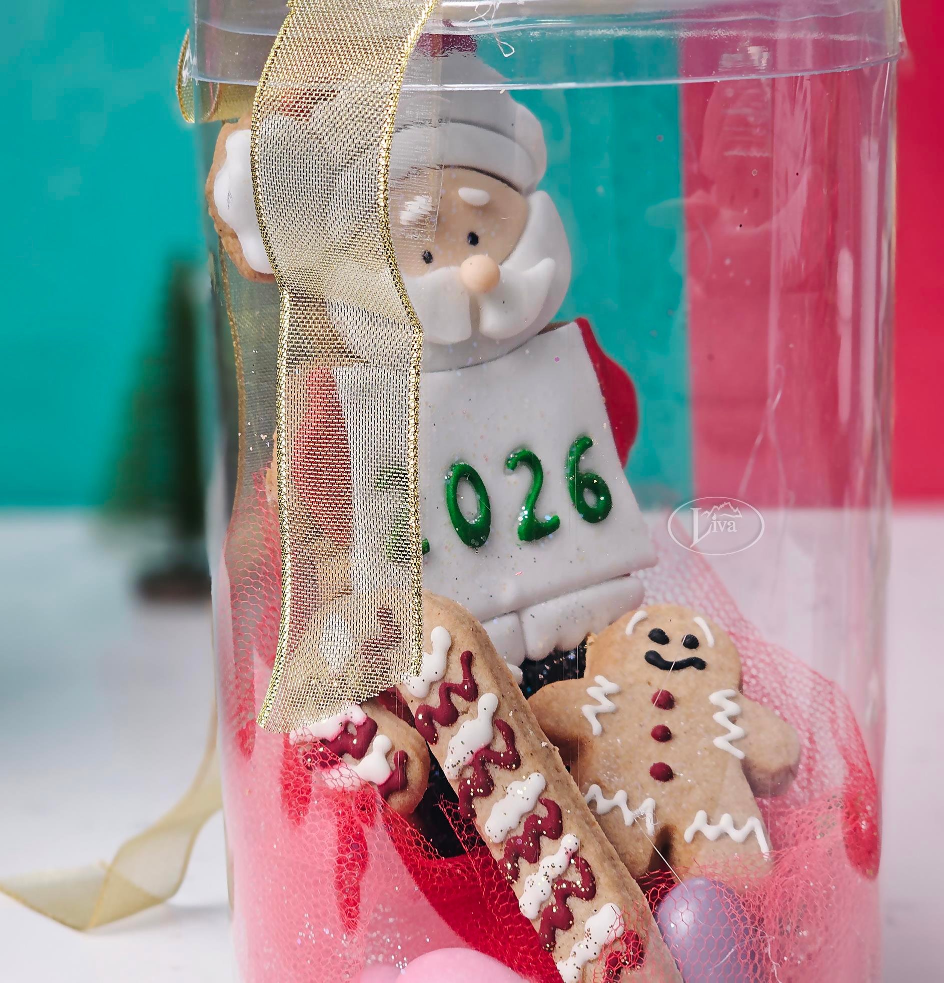 Liva Yılbaşı Noel Baba Kurabiye Paket