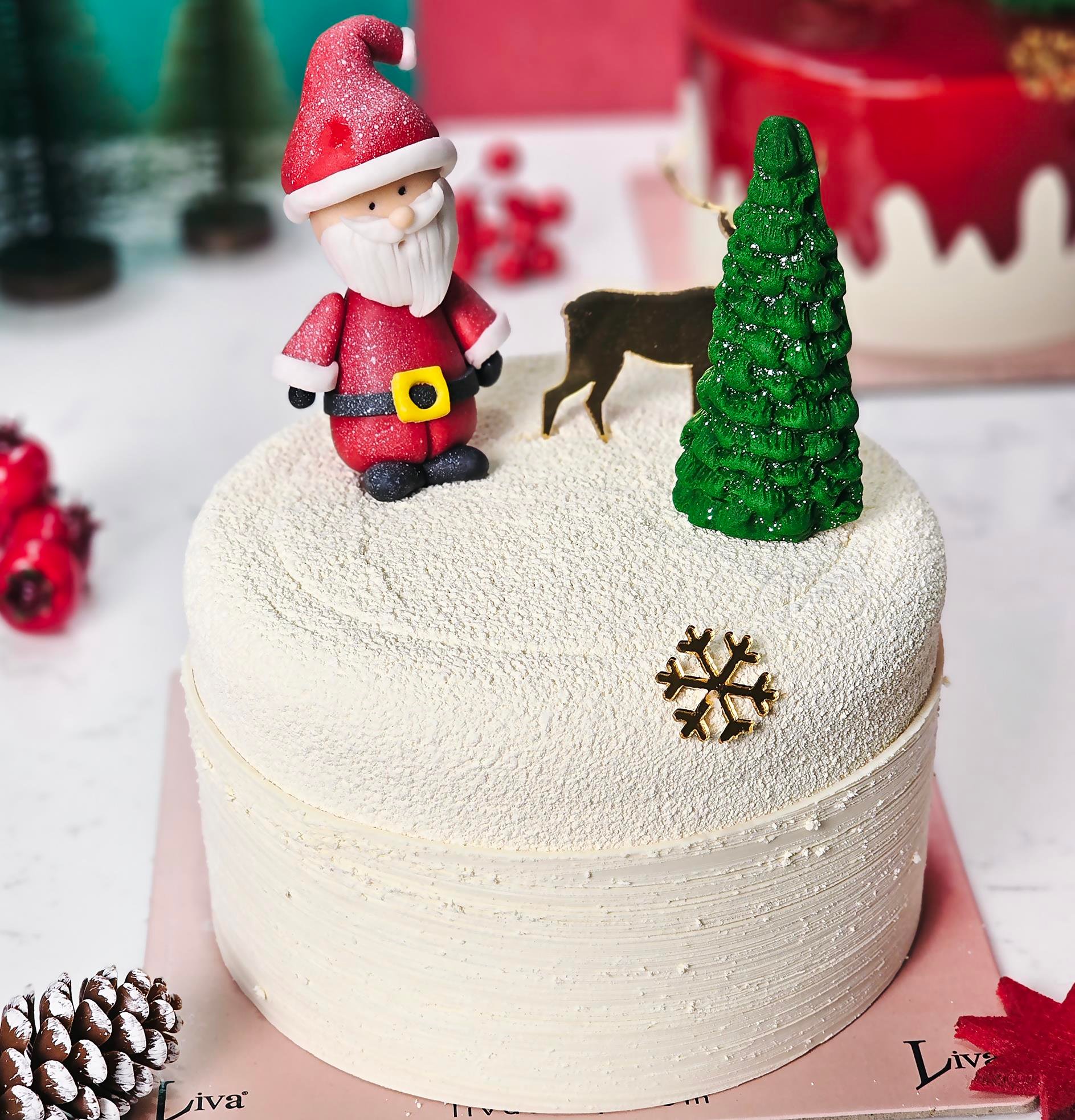 Liva Yılbaşı Noel Baba Ormanda Özel Pasta