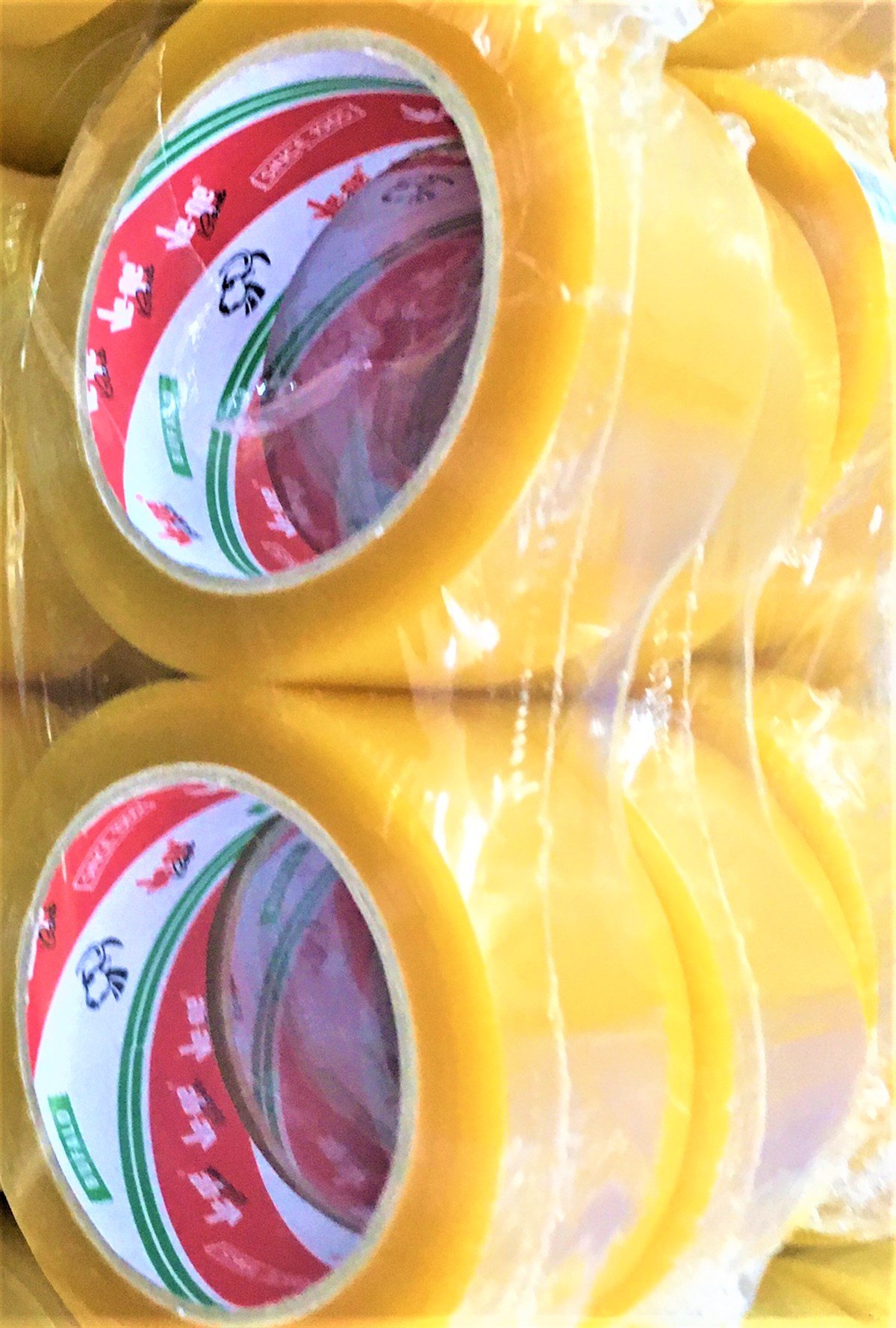 Koli Bandı