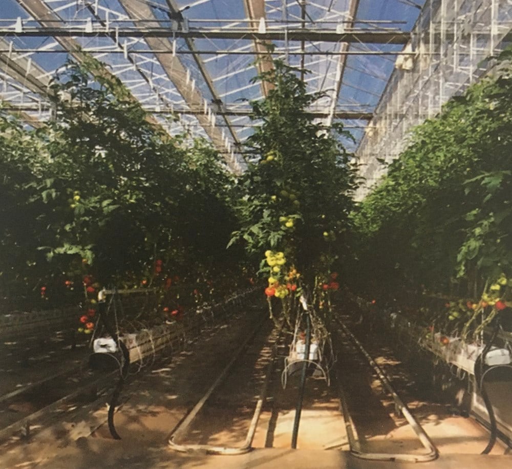 Ön İzolasyonlu PPRC Boru, Yalıtımlı Jeotermal Boru