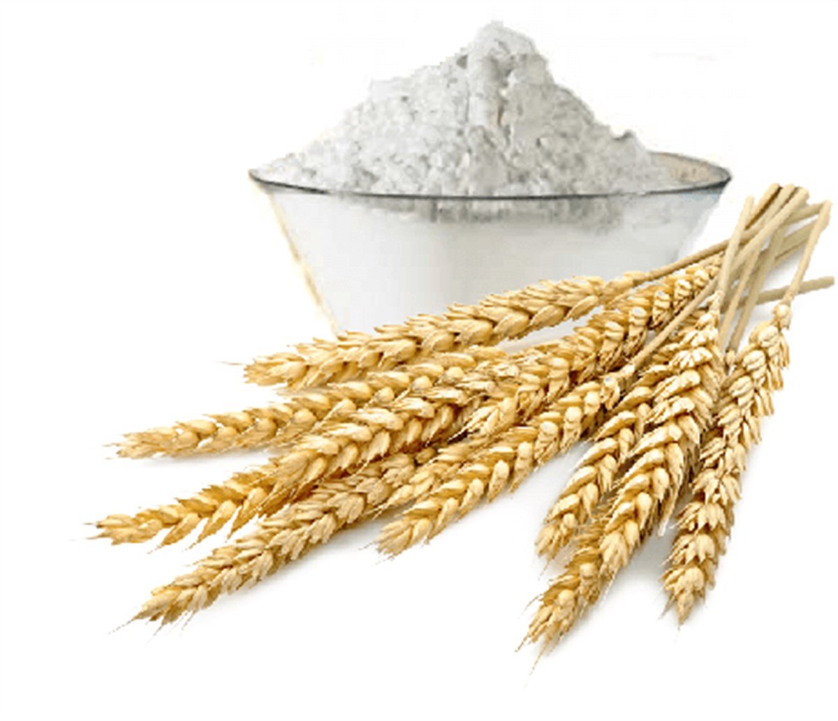 Buğday Nişastası