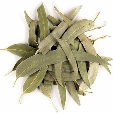 Okaliptüs Yaprağı 30 Gr