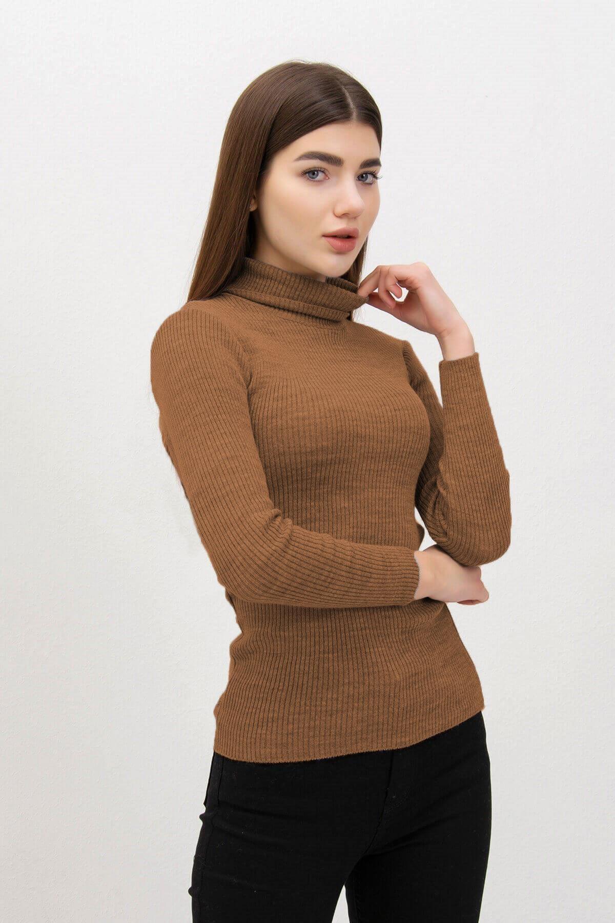 Balıkçı Yaka Basic Triko Vizon