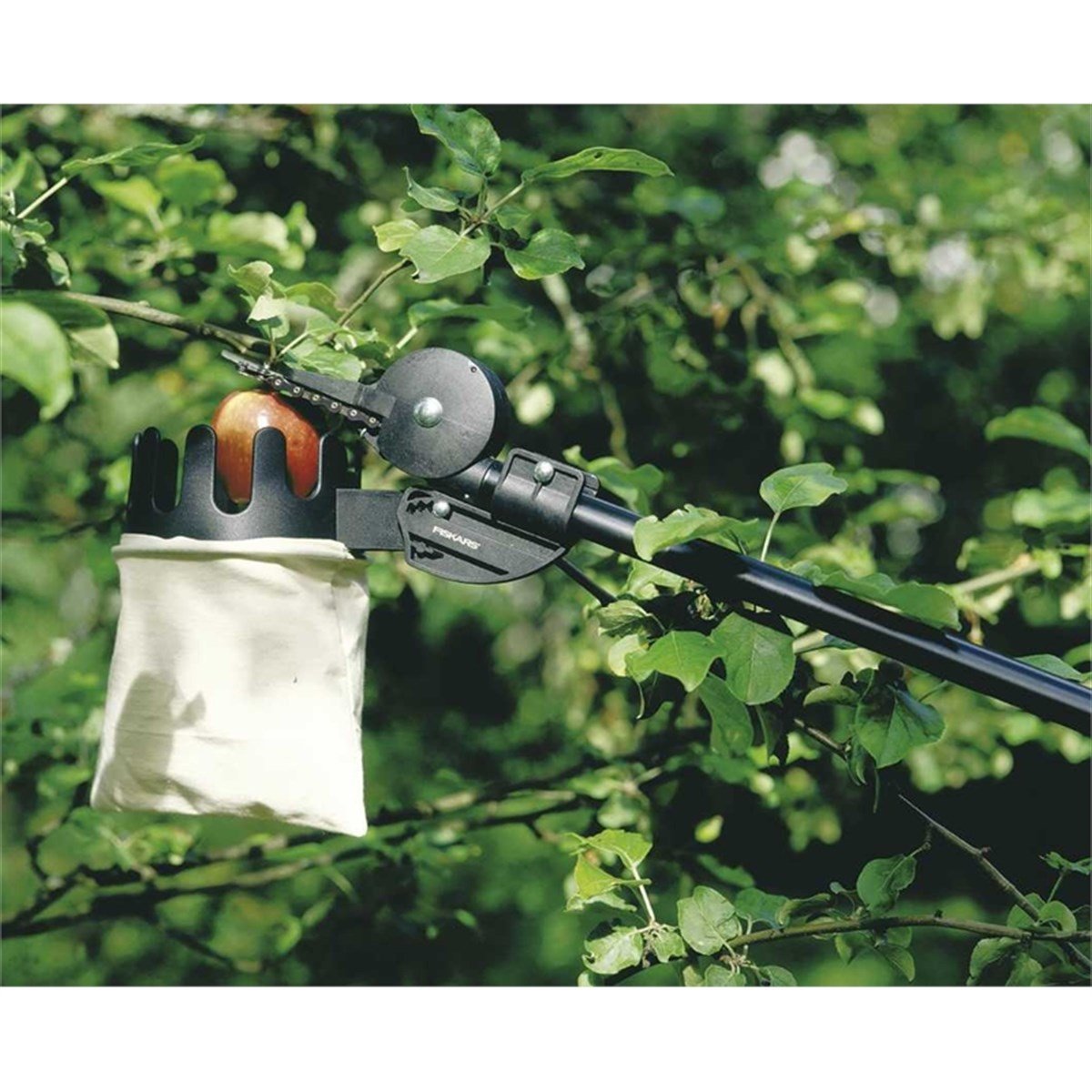 Budama MakasıDolmar Meyve Toplayıcı