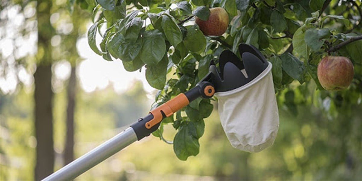 Budama MakasıDolmar Meyve Toplayıcı