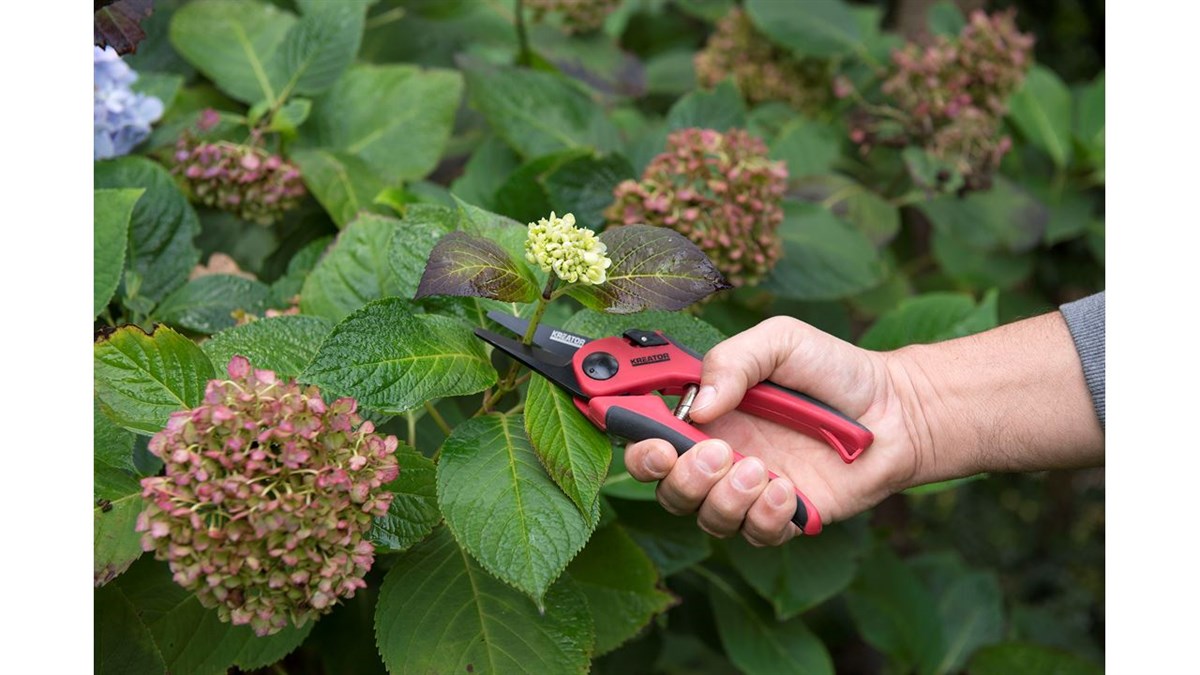 Budama MakasıKreator Makas Budama Hasas 205MM