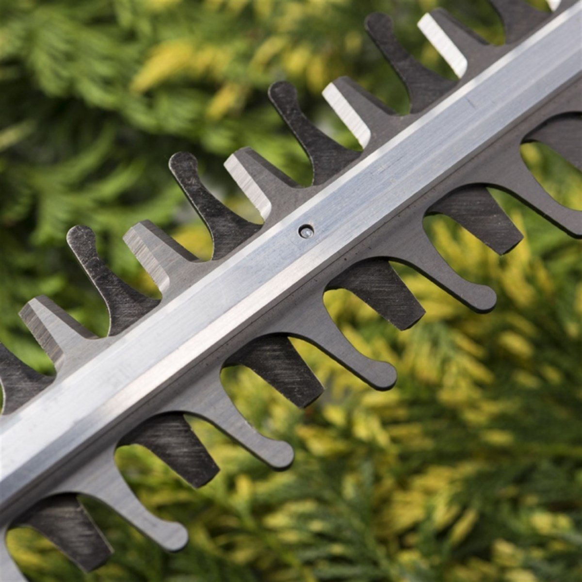 Çit BudamaMakita Çit Budama 65Cm