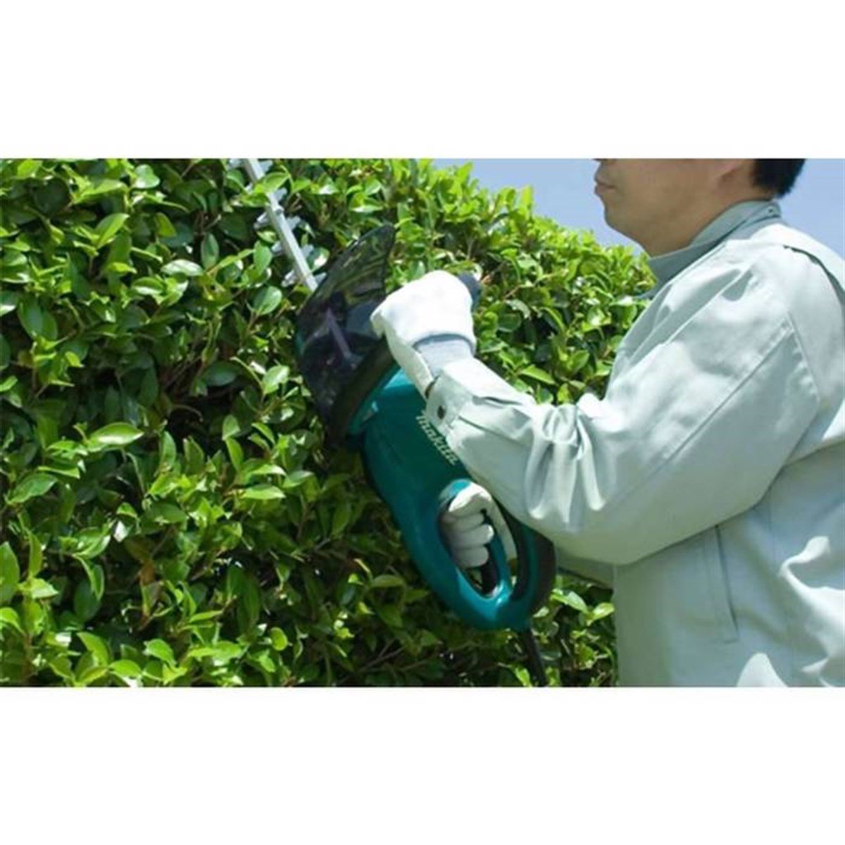 Çit BudamaMakita Çit Budama 65Cm