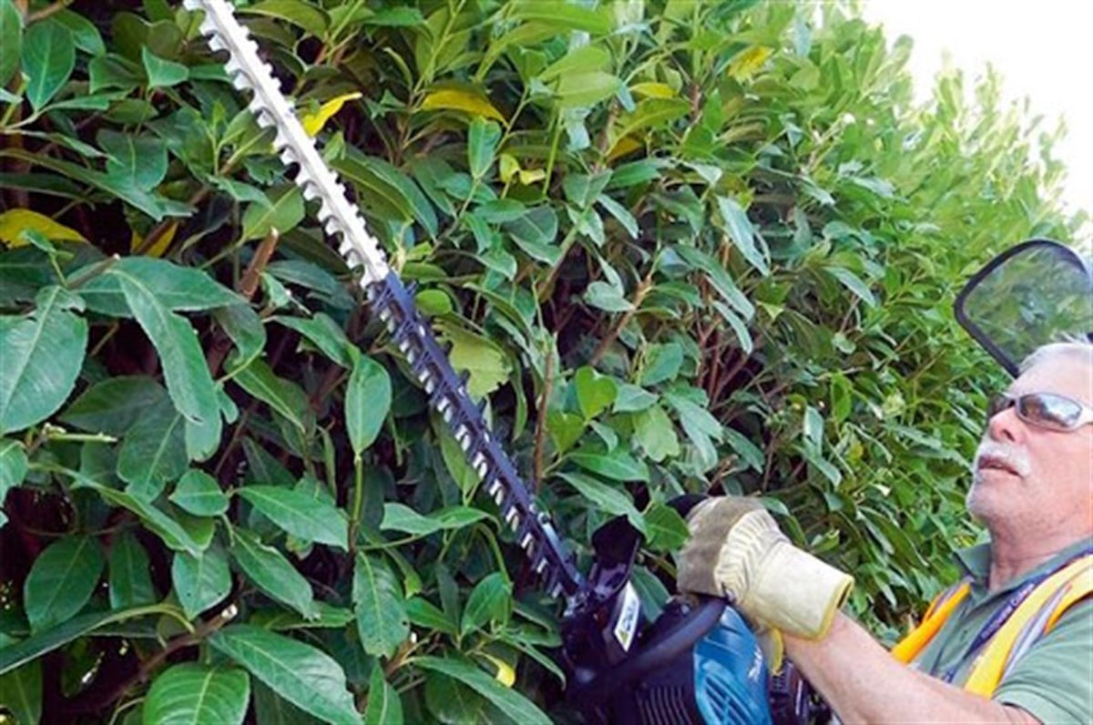 Çit BudamaMakita Çit Budama Benzinli 75CM