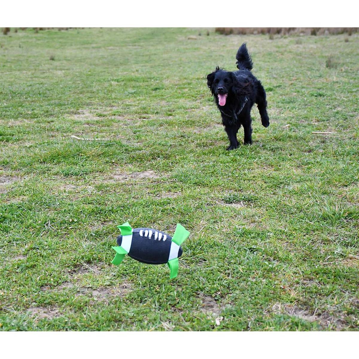 KampTop Köpek için Amerikan Futbolu 5.5