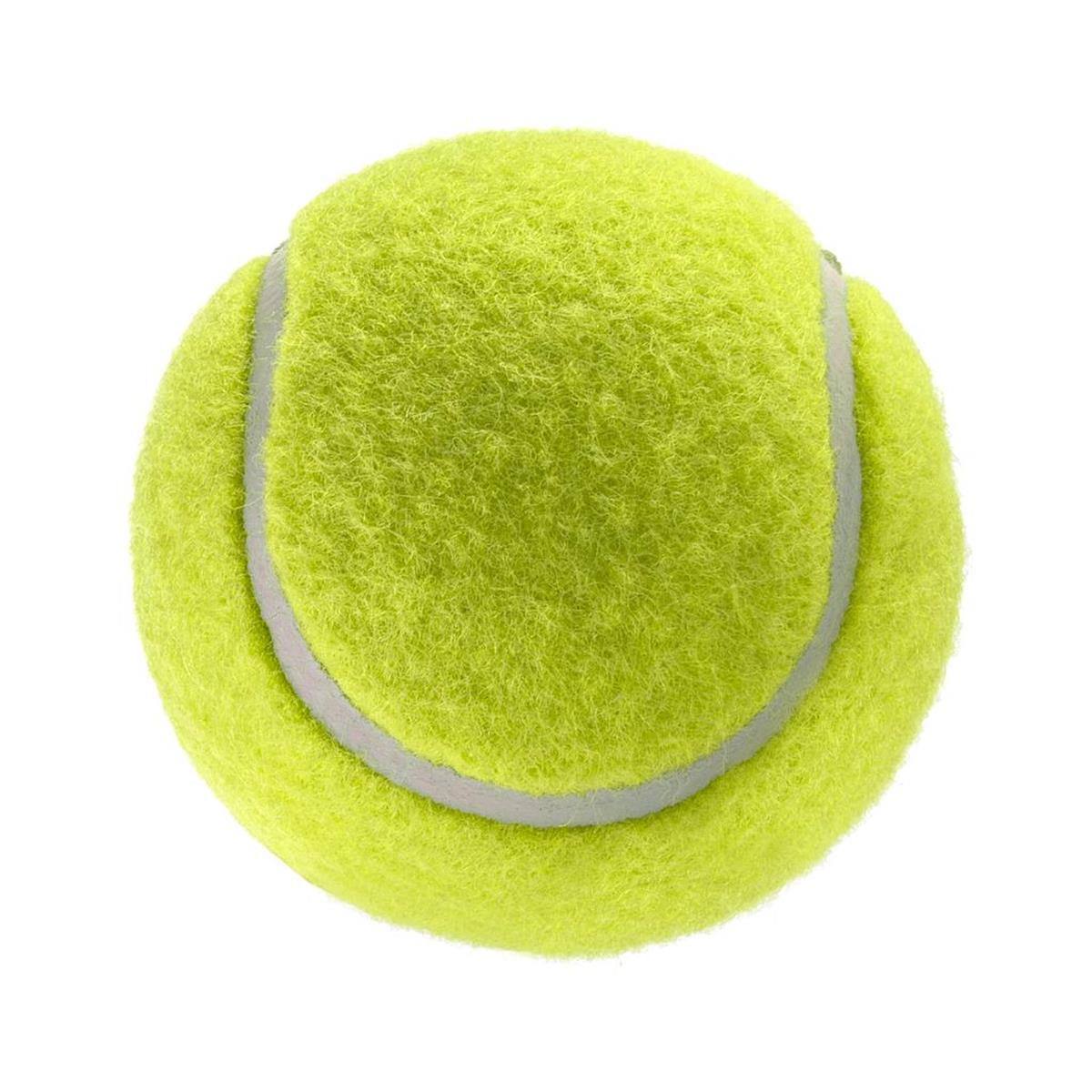 KampTop Köpek İçin Tenis