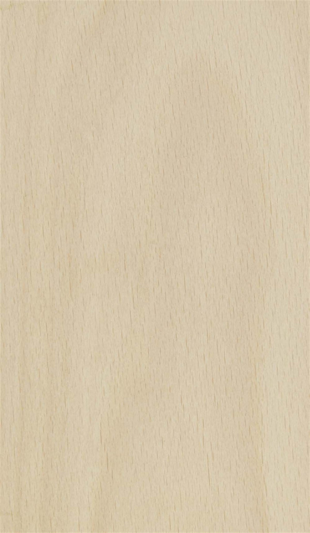 MDF LevhalarWoodlent Mdf Doğal Kaplama 210x280CM Beyaz Kayın/Astar Kayın