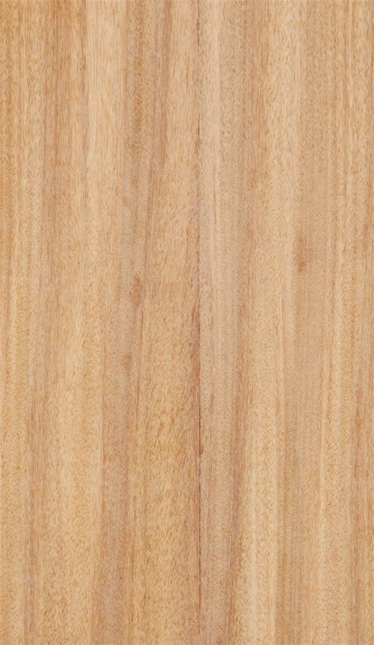 MDF LevhalarWoodlent Mdf Doğal Kaplama 210x280CM Afromozi /Astar Kayın