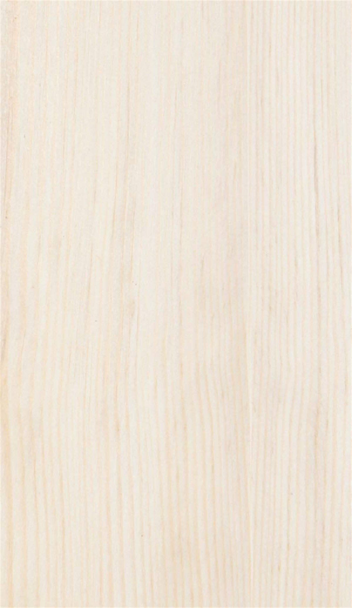 MDF LevhalarWoodlent Mdf Doğal Kaplama 210x280CM Çam/Astar Kayın