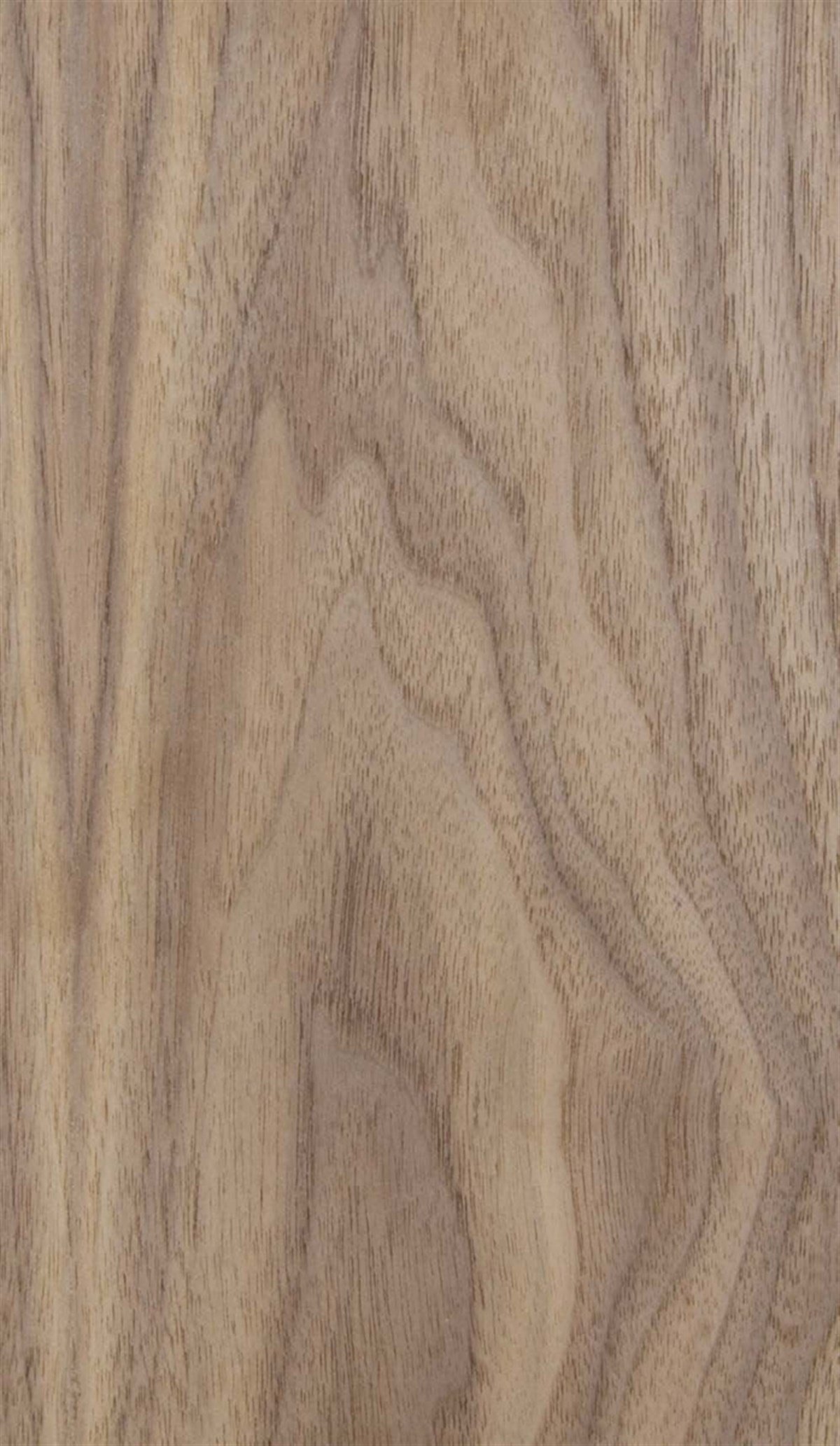 MDF LevhalarWoodlent Mdf Doğal Kaplama 210x280CM Hareli Ceviz/Astar Kayın