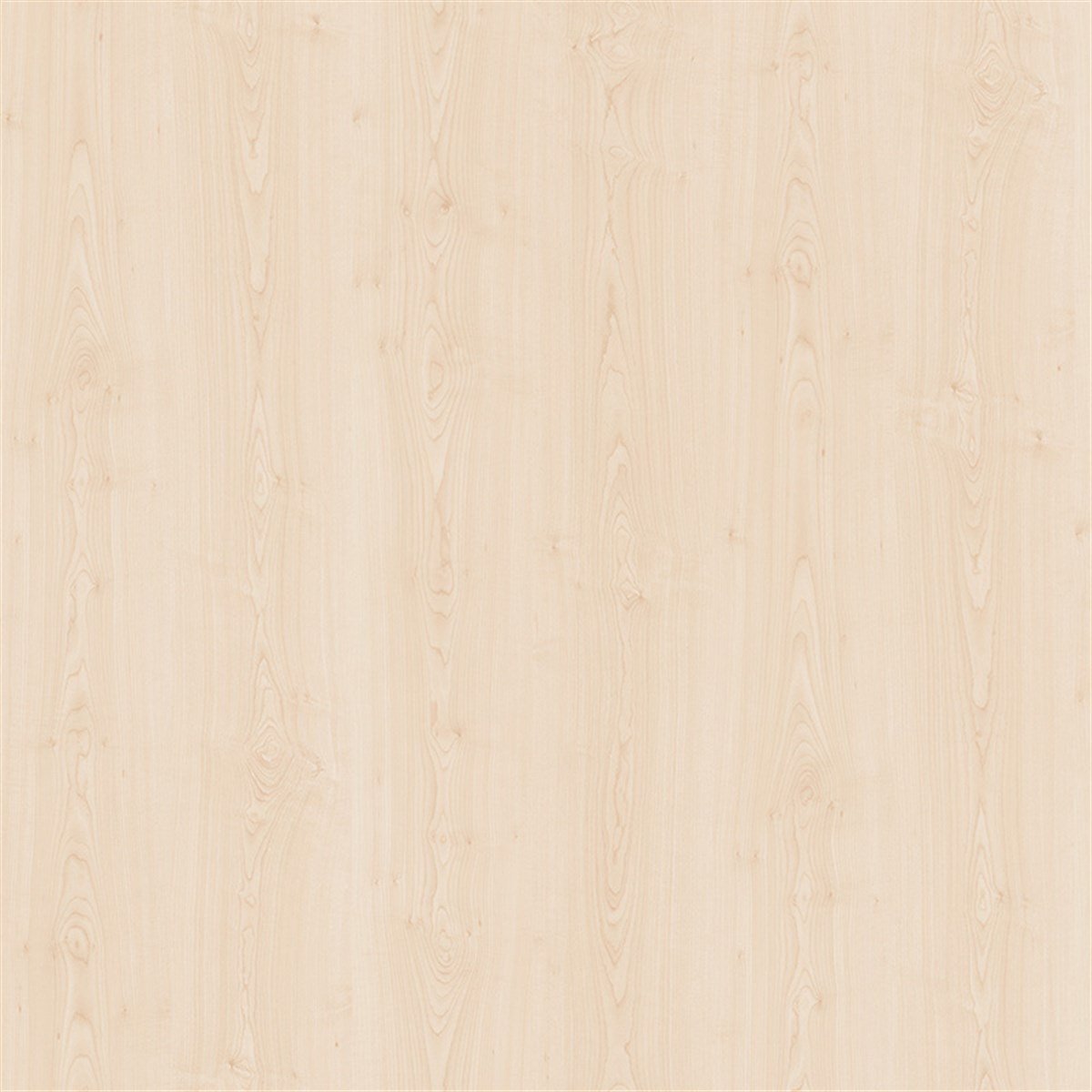 Sunta LevhalarYıldız Entegre Suntalam Akçaağaç