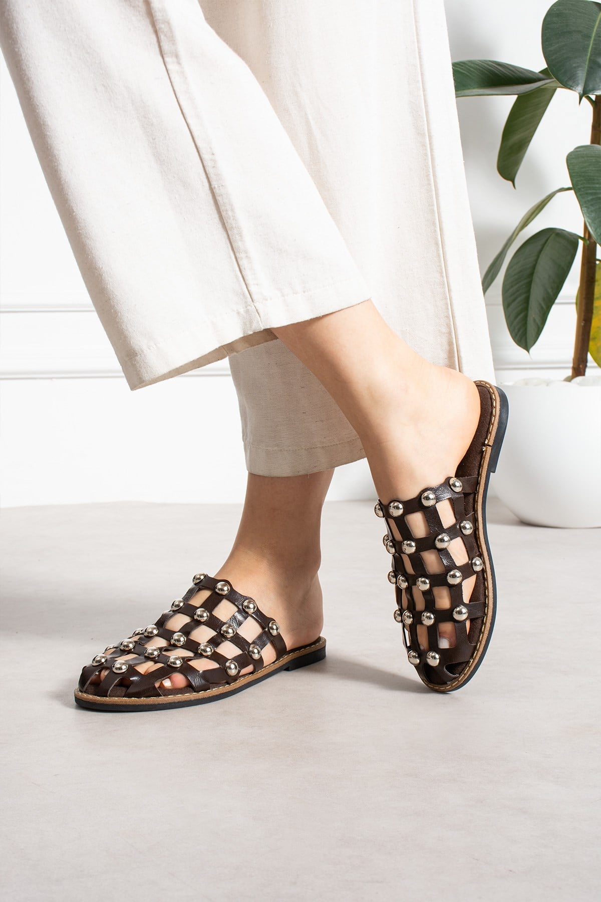 ShoetekLivya