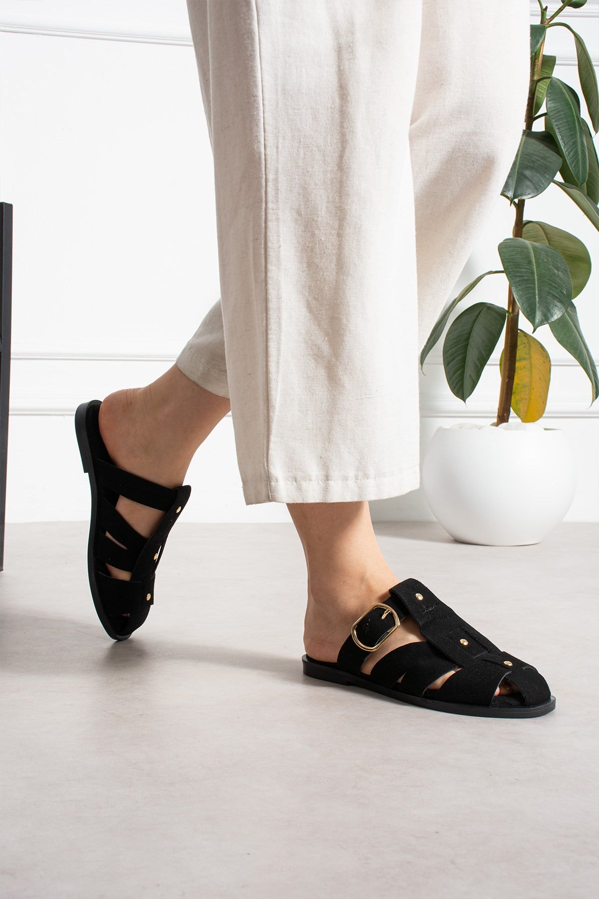 ShoetekOlwa