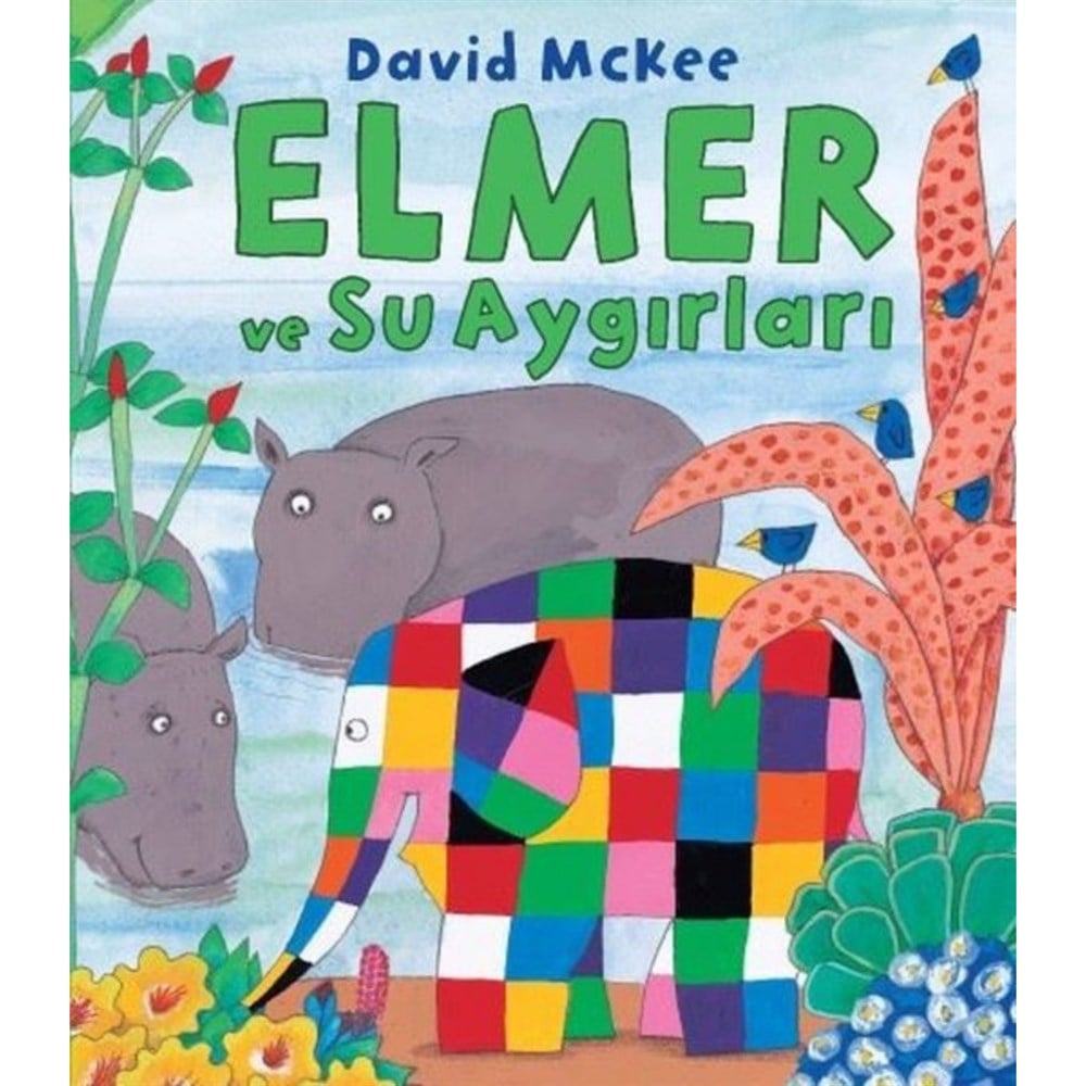 ELMER VE SUAYGIRLARI