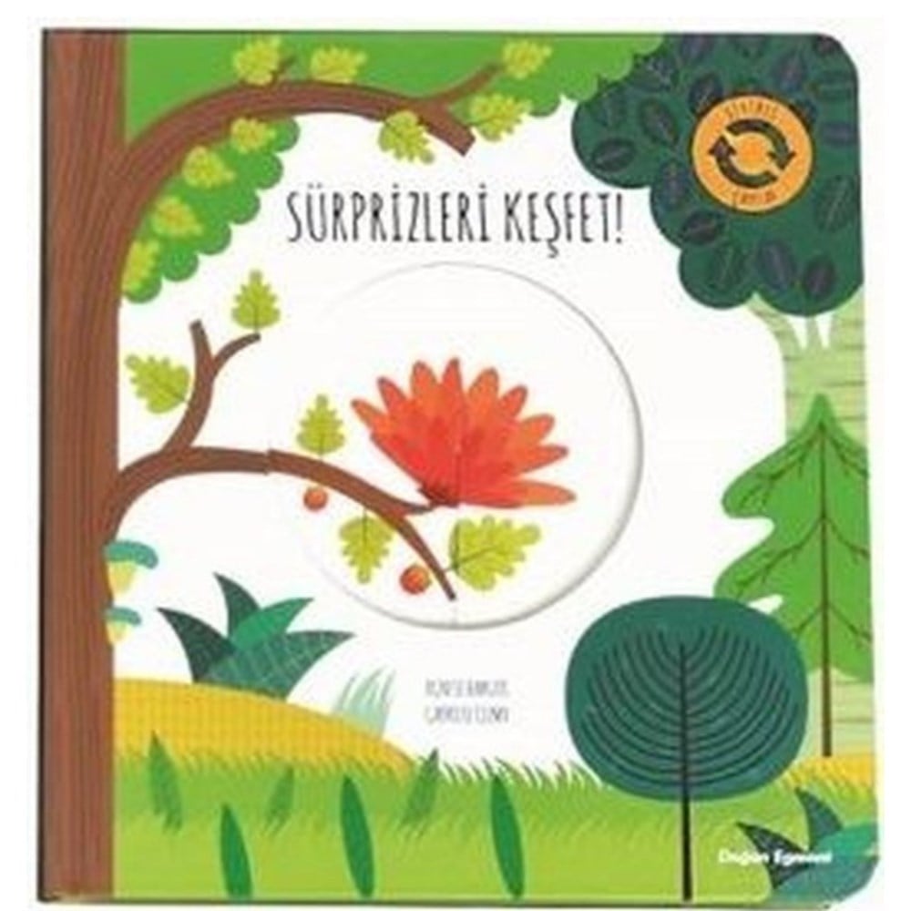 Sihirli Çarklar - Süprizleri Keşfet!