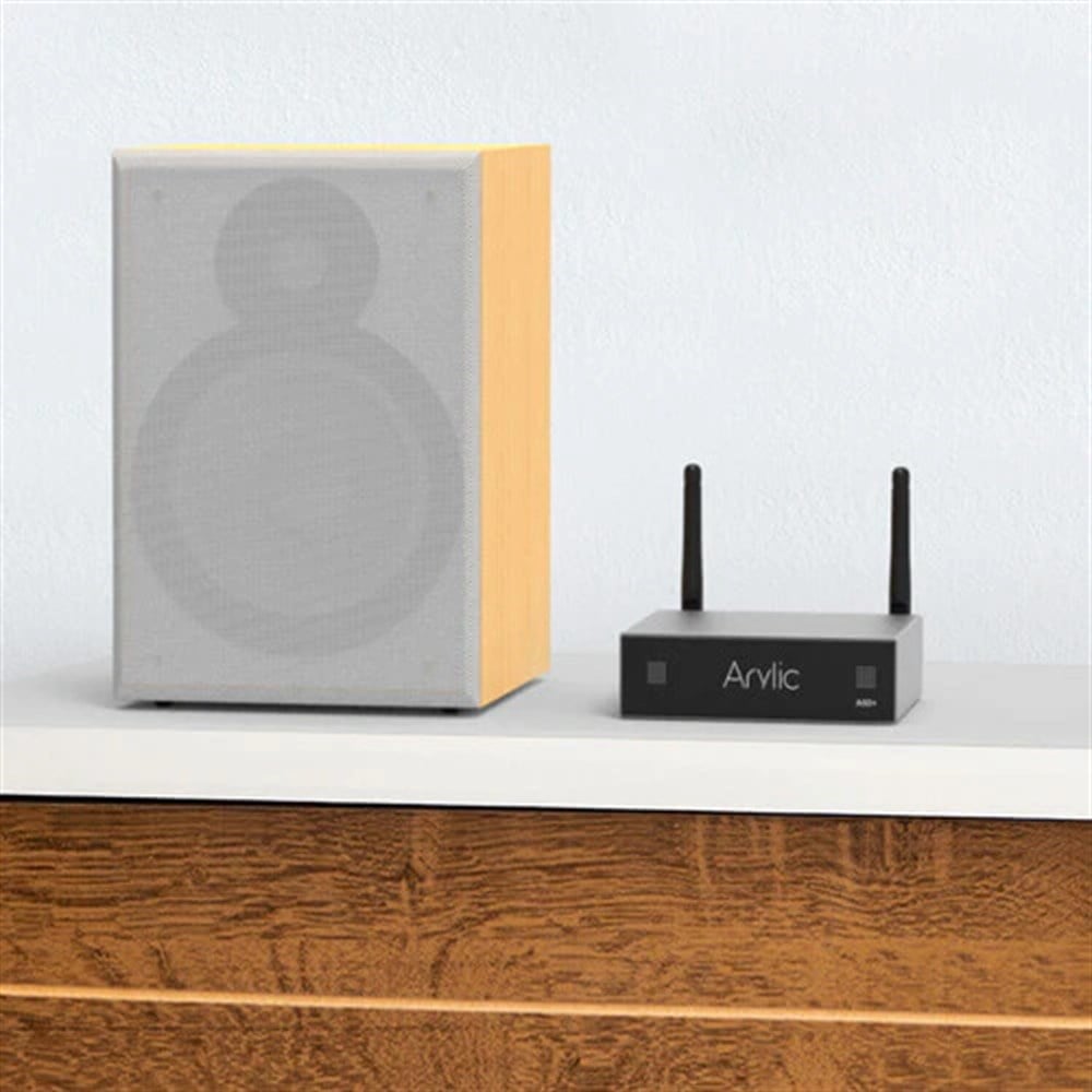 Arylic a50+