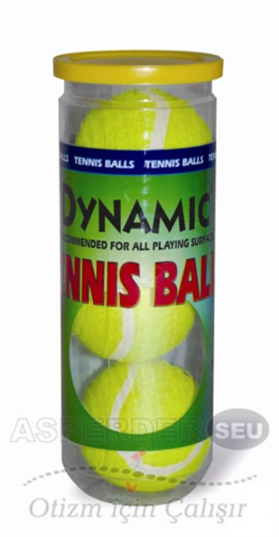 Tenis Topu Dynamic T801P